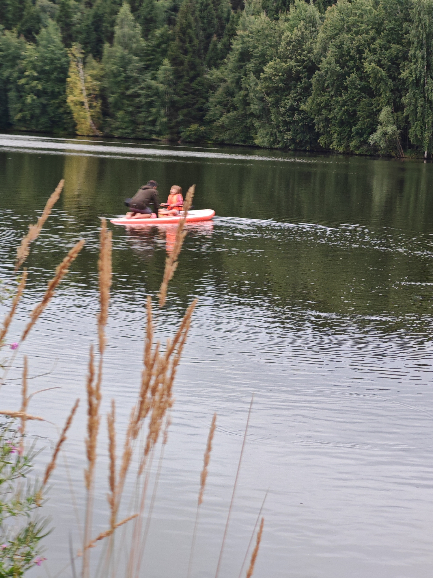 In the city of Rosinka, Russia, a bright orange paddleboard floats on a calm, dark body of water. Two individuals are seated on the paddleboard. In the foreground, a person is kneeling, facing away from the camera, wearing a dark hooded jacket and dark pants. A child, wearing a bright orange life vest over a pink shirt and dark bottoms, is seated in front of the kneeling individual. The background is dominated by a dense, dark green forest lining the edge of the water. The water's surface reflects the trees and the sky, creating a dark, textured backdrop. Several tall, dry grass stalks in the foreground are blurred, indicating they are closer to the camera than the paddleboard. The overall scene is tranquil and outdoor-oriented.