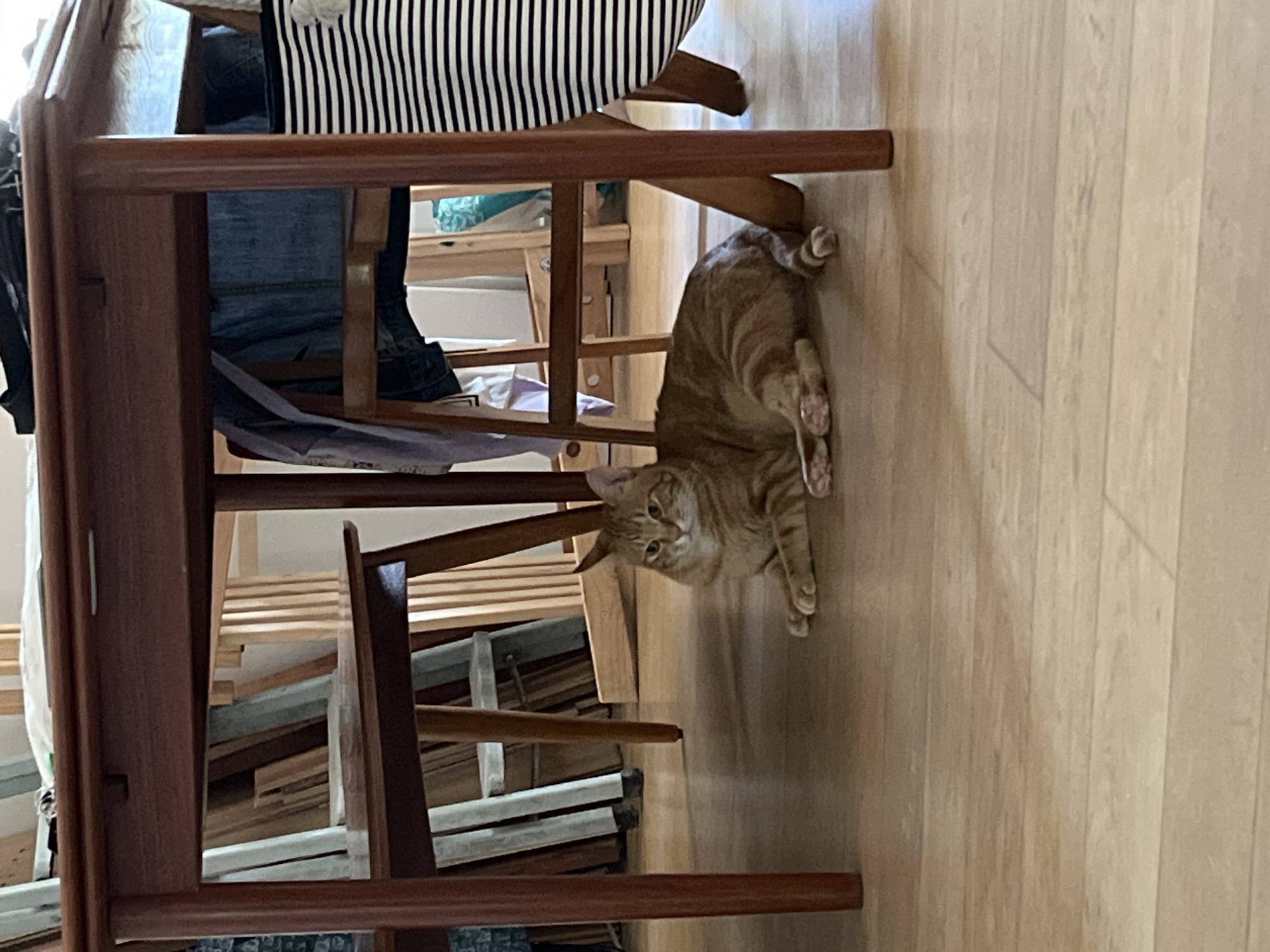 An orange tabby cat with visible stripes lies on a light wood floor underneath a wooden table. The cat is resting with its front paws tucked in and its hind legs extended. The table has dark brown legs and a wooden top. In the background, behind the table legs, there are vertical wooden planks. To the right of the image, a portion of a black and white striped bag is visible. The overall scene appears to be indoors, likely in a residential setting. There is no indication of the location in the city of Villejuif, France.