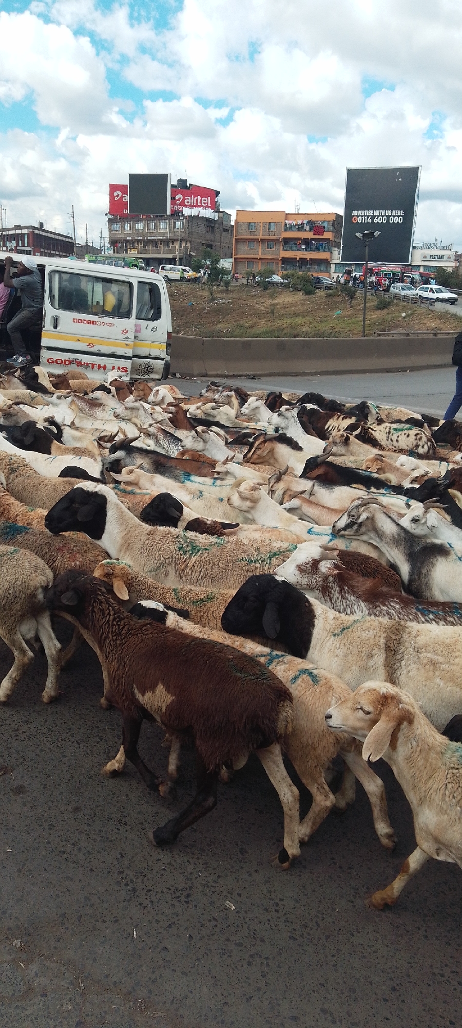 This image depicts a vibrant and somewhat chaotic urban scene in Nairobi, Kenya, during the daytime under a partly cloudy sky. The foreground is dominated by a dense herd of numerous sheep and goats of varying colors and breeds, many marked with blue or green paint, effectively blocking or crossing a paved road.
To the left, a white public service minibus (matatu) is stopped, its passenger door open. A person is visible on the matatu's running board, observing the situation. Text visible on the side of the matatu reads "GOD WITH US" and partially "GOD BLESS".
In the background, across a concrete road barrier, are several multi-story buildings, typical of an urban environment. Two large billboards stand prominently against the sky. The billboard on the left features the "airtel" logo along with partially visible text "Da" and "AVERSO". The billboard on the right displays "ADVERTISE WITH US HERE:" and a phone number "0114 600 000". Below this billboard, part of a "POSTBANK" sign is visible on a building. Other vehicles and people can be seen on an adjacent road or in the distance, indicating a busy city area. The scene captures a unique intersection of livestock herding and urban infrastructure.