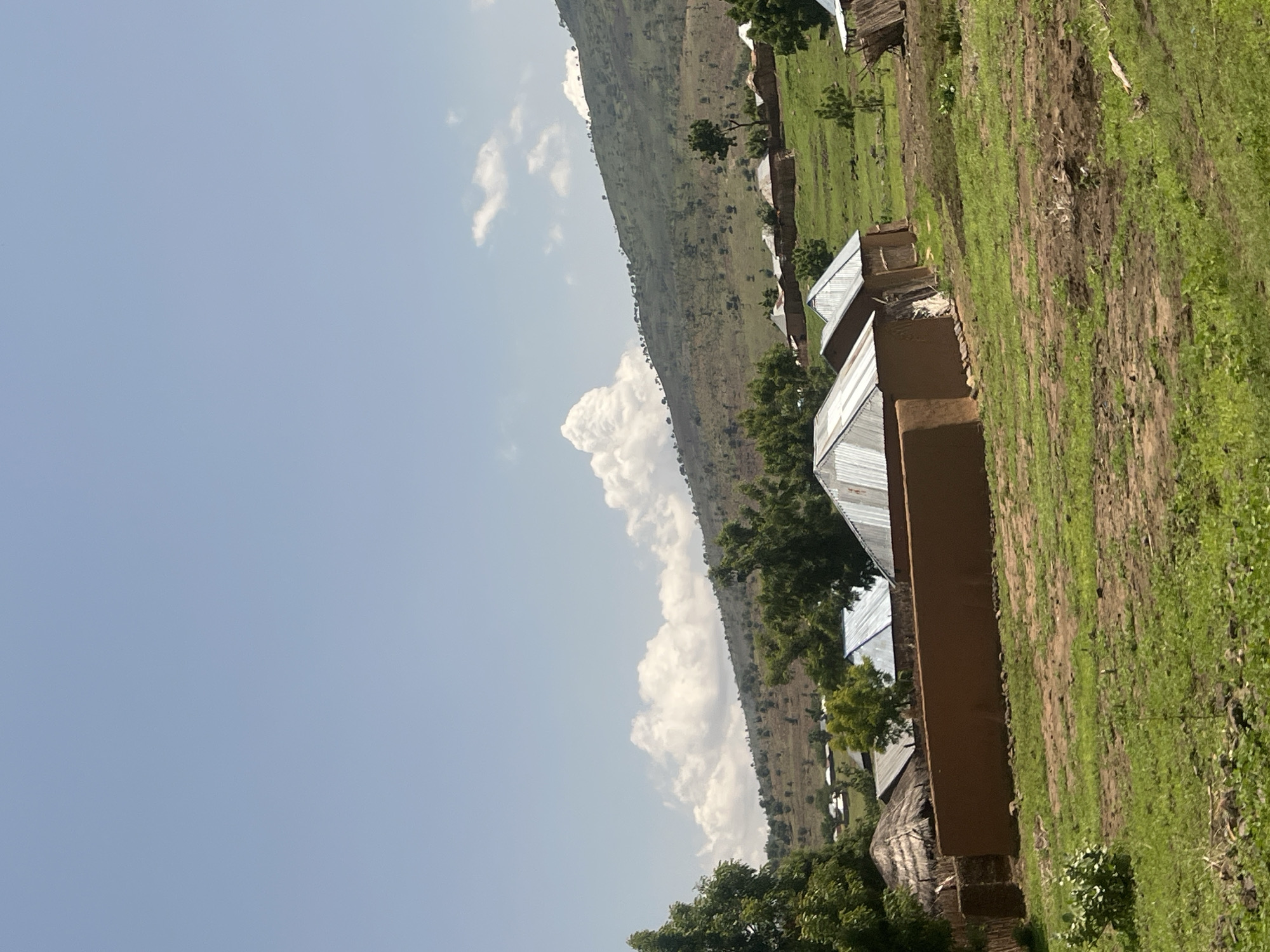The image displays a rural landscape situated in Balanga, Nigeria, under a clear, light blue sky with scattered cumulus clouds, notably a large, dense cloud formation above the center-left horizon. A substantial, undulating mountain range, characterized by sparse green and brown vegetation, forms the background. Numerous small trees and shrubs are visible along the mountain slopes, suggesting a mix of wooded and arid areas.
In the mid-ground, a village settlement is visible, consisting of multiple small dwellings clustered at the base of the mountain and extending into the valley floor. These structures are primarily constructed with reddish-brown earthen walls. Many feature silver-grey corrugated metal roofs, while at least one visible structure has a traditional thatched roof. Green trees and patches of grass are interspersed throughout the settlement and across the landscape.
The immediate foreground consists of uneven ground, presenting a mix of vibrant green grass and exposed reddish-brown soil. A prominent, low, rectangular wall, built from reddish-brown earth, runs horizontally across the mid-foreground. Behind this wall and to its left, a traditional round hut with a thatched roof is partially visible. Three additional rectangular structures with earthen walls and corrugated metal roofs are prominently positioned in the middle-right foreground. No individuals or animals are visible within the frame.