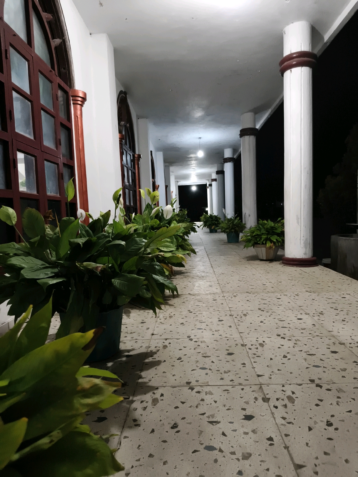 The image depicts a covered walkway with a tiled floor, flanked by white pillars with red accents. Large, dark-framed windows with multiple panes are visible on the left. A line of potted plants, predominantly large green leafy plants with white flowers, are arranged along the walkway. The walkway extends into the distance, where a single light bulb hangs from the ceiling. The environment appears to be outdoors, likely in an urban setting. No people are visible in the image. The lighting suggests it is either dusk or nighttime. The context of Tombatu Dua, Indonesia, places this scene within that specific geographic location.