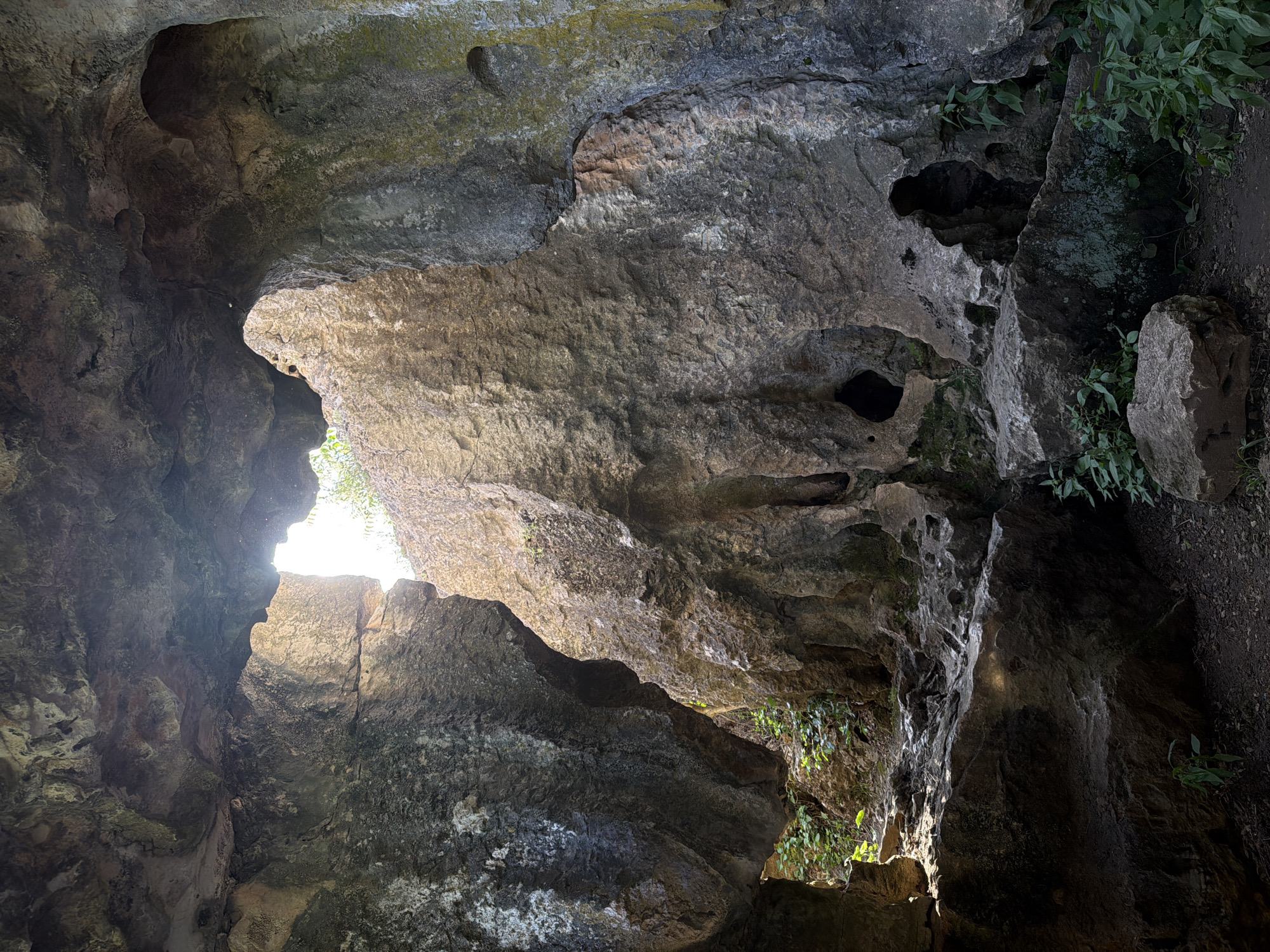 This image, captured in Aglen, Bulgaria, depicts the interior view of a natural rock formation, resembling a cave entrance or large rock shelter. Strong natural light, presumed to be sunlight, streams in from multiple openings, creating a high-contrast scene. The primary light source illuminates the exterior beyond a central, irregularly shaped opening and from a gap to the upper left, casting bright rays where airborne dust particles are visible.
The rock formations are composed of grey to brownish-grey material, exhibiting rough, uneven textures, fractures, and weathered surfaces. Patches of green moss or lichen are present on the rock, particularly in shaded areas.
On the left side of the frame, a massive, dark rock formation descends, with a narrow, illuminated gap visible beneath its base, revealing green foliage outside. The ceiling of the rock shelter is irregular and rocky.
To the right, a large, textured rock wall extends, featuring multiple dark, irregularly shaped openings or hollows (potentially small cavelets or erosion features) at varying heights.
The ground within the shelter is uneven, consisting of loose soil and scattered rocks of various sizes. Sparse green vegetation, including small plants and leafy growth, is visible on the ground and at the base of the rock formations, particularly in areas receiving some light. No people, animals, or man-made objects are present in the scene.