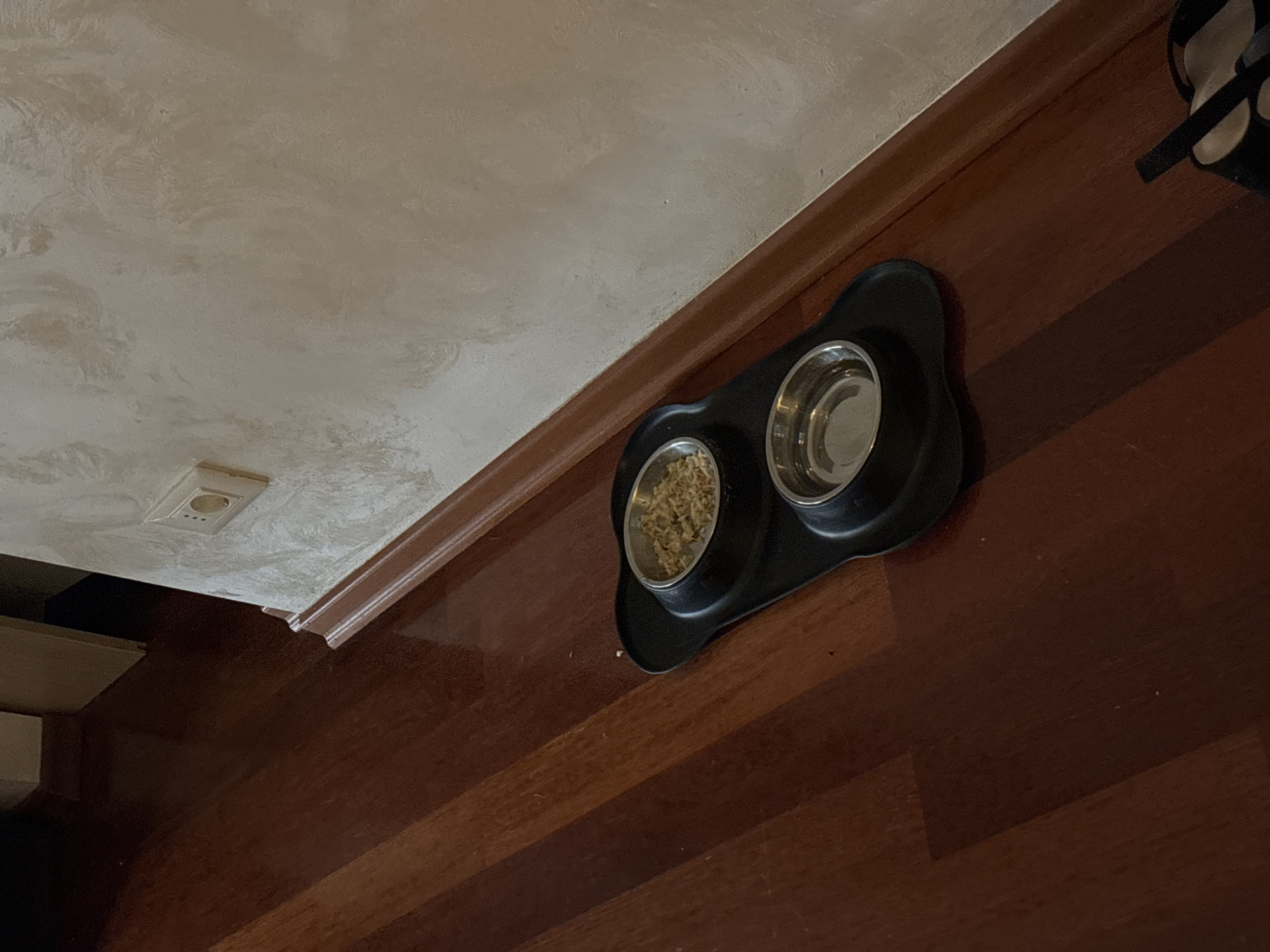 The image depicts a domestic indoor scene, likely a hallway or room with hardwood flooring. A black double pet bowl mat with two metal bowls is placed on the floor. One bowl contains dry kibble, while the other is empty. The wall behind the bowls is textured and light-colored, with a cream-colored electrical outlet visible. The baseboard is a reddish-brown color. The scene is devoid of people. The overall impression is that of a utilitarian setup for pet feeding.