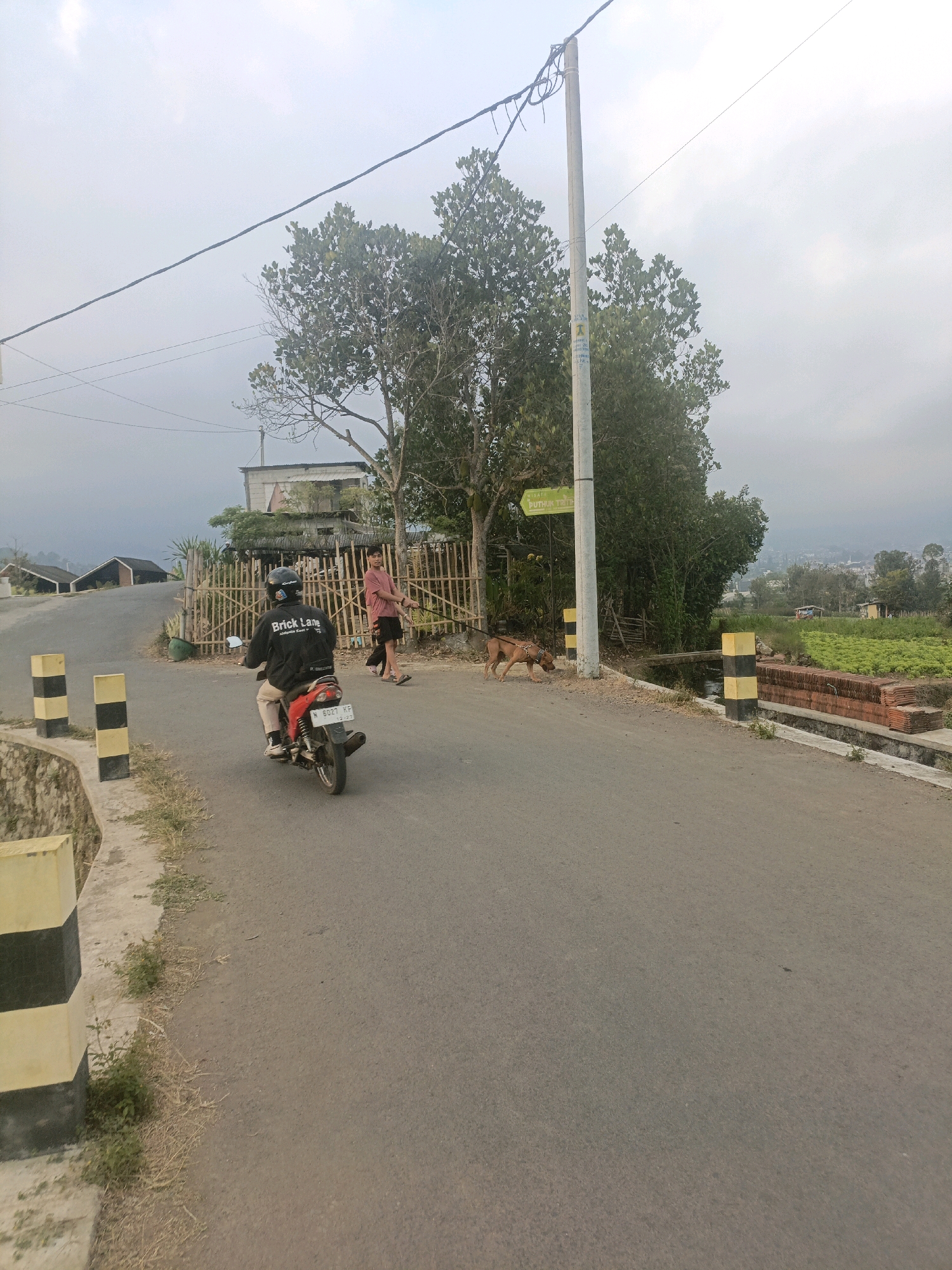 In Batu, Indonesia, a person rides a red motorcycle down a paved road. The rider, wearing a black helmet and a black jacket with "Brick Lane" printed on it, is seen from behind. To the right of the road, a brown dog on a leash walks alongside a person wearing a pink shirt and dark pants. A bamboo fence separates the road from a yard with trees and a building. In the background, houses and lush green fields are visible, with a misty mountain range in the distance. The sky is overcast, and a utility pole stands beside the road, adorned with a green directional sign. Yellow and black striped bollards mark the edge of the road.