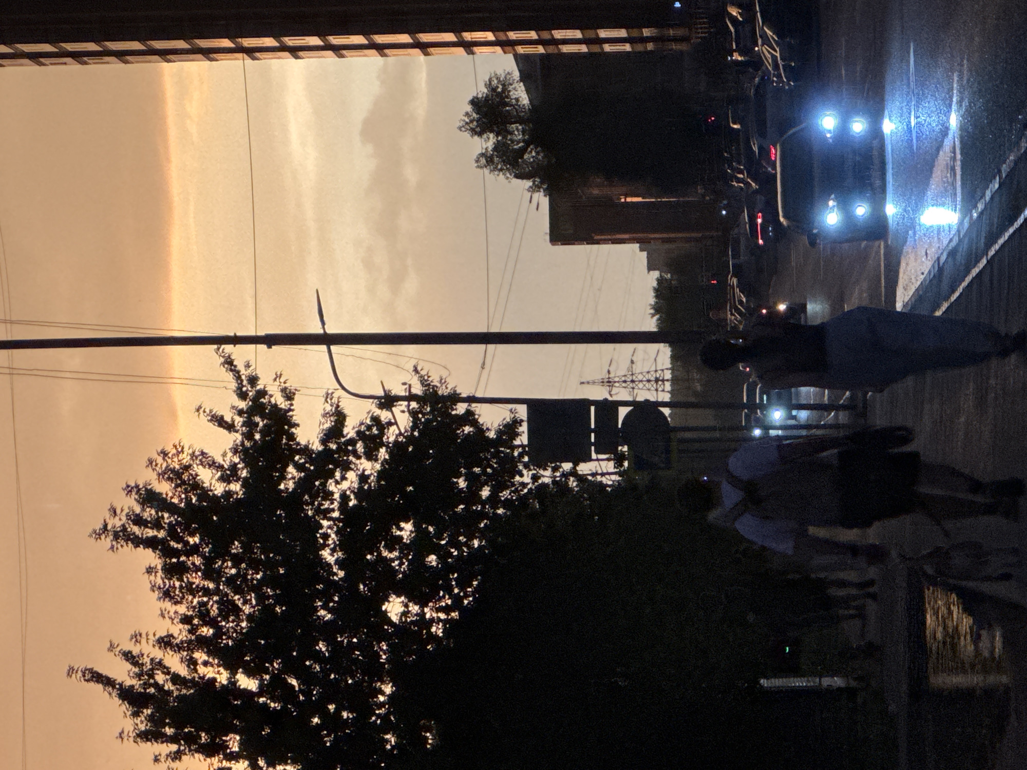 The image captures a street scene at dusk in Novosibirsk, Russia. The sky is a warm, hazy orange, indicative of sunset or possibly atmospheric pollution. Silhouetted against the sky are the branches of a large tree on the left, and a tall, modern building on the right. A street light pole with wires runs vertically through the frame.
In the foreground, two figures are walking along a wet sidewalk, reflecting the lights from passing cars. The person closer to the viewer is wearing a backpack and shorts. To their left, another person is walking in the same direction, slightly ahead. A dog on a leash is accompanying the person with the backpack. Several cars are driving on the street, their headlights illuminating the wet pavement with bright blue and white light. The road appears to be wet, suggesting recent rain. Further down the street, more cars are parked, and other buildings are visible in the background. The overall impression is of a typical urban evening, with streetlights beginning to dominate the fading natural light.