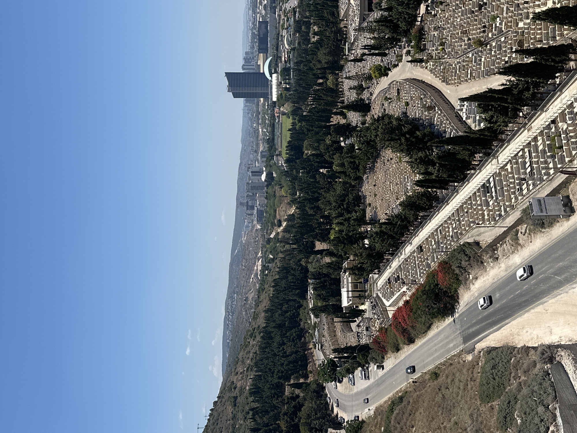 The image captures an elevated view of a densely populated cemetery adjacent to a road with vehicular traffic, situated in the city of Haifa, Israel. The cemetery features numerous rows of uniform white tombstones stretching across the landscape, interspersed with tall, dark green cypress trees. A winding road runs alongside the cemetery, with several cars visible on its lanes. On the left side of the road, a dry, grassy hillside slopes upwards, dotted with sparse vegetation. Beyond the cemetery and road, a verdant forest covers a hillside, and further in the distance, a cityscape with modern buildings and a distinctive skyscraper emerges against a clear blue sky. The overall scene suggests a juxtaposition of urban development, natural landscape, and a significant memorial site.
