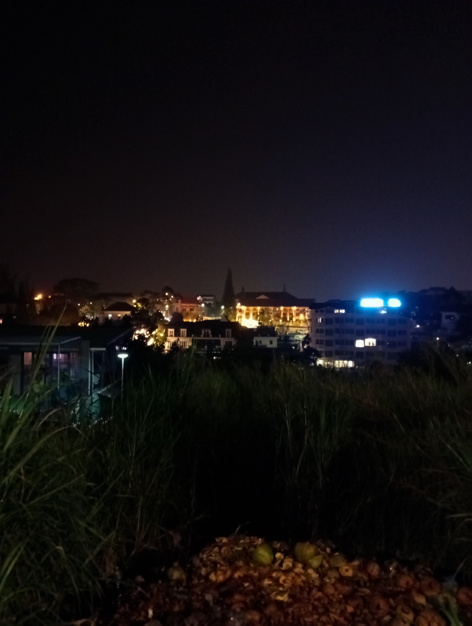 The image shows a night scene in Da Lat, Vietnam. Tall, dark grass obscures the immediate foreground, leading to a pile of discarded matter, possibly rotting food. In the midground, various buildings are illuminated with different colors, including an ornate building with warm lighting, a modern building with a glowing blue sign on the roof, and a residential area with scattered street lights. The background sky is dark. No people are visible in the image.