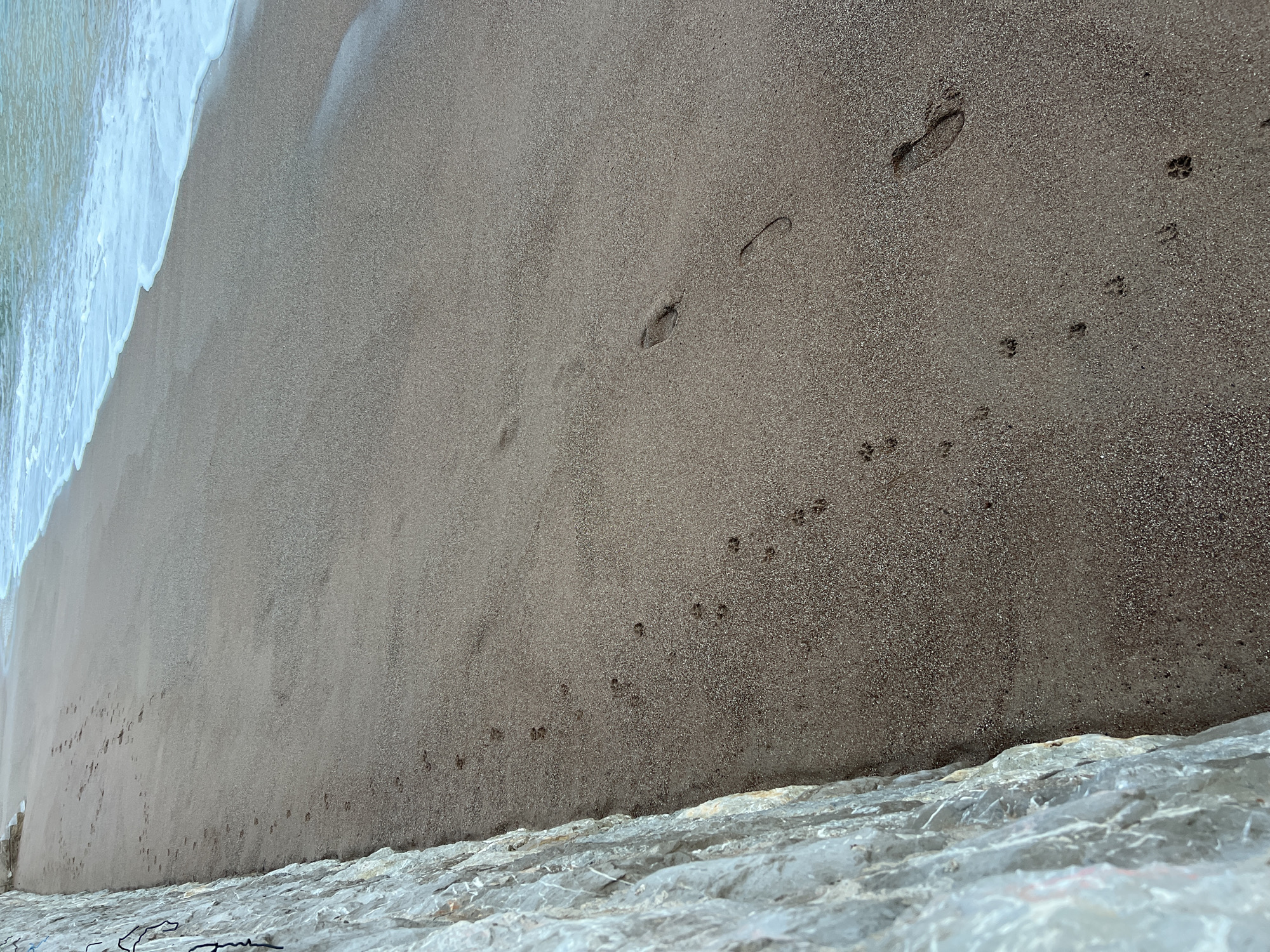 The image depicts a sandy beach at Bečići, Montenegro, with an incoming wave on the left. Human and animal footprints are visible in the sand, leading away from the water. The bottom of the frame shows a rocky area leading to the sand.