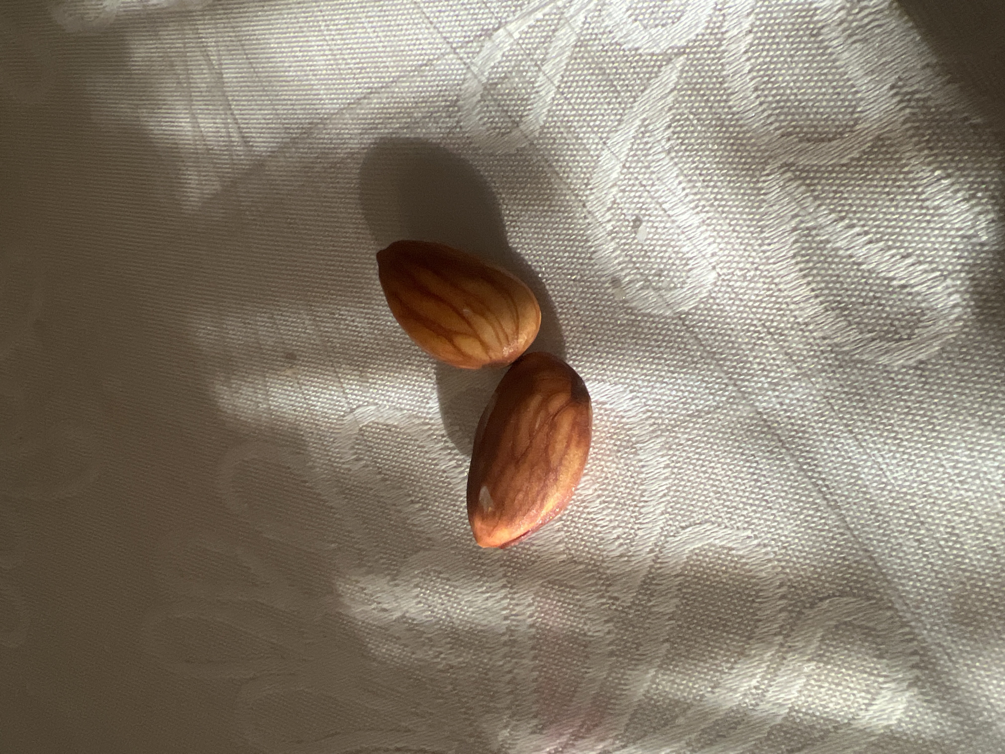 Two almonds lie on a textured, light-colored fabric surface. The fabric has a woven pattern and is illuminated by sunlight, creating shadows and highlights. The almonds are positioned near the center of the frame, with one slightly above and to the right of the other. The lighting suggests a scene outdoors or near a window. The image does not depict any location in the city of Трещиха, Russia, nor does it show any people or actions.