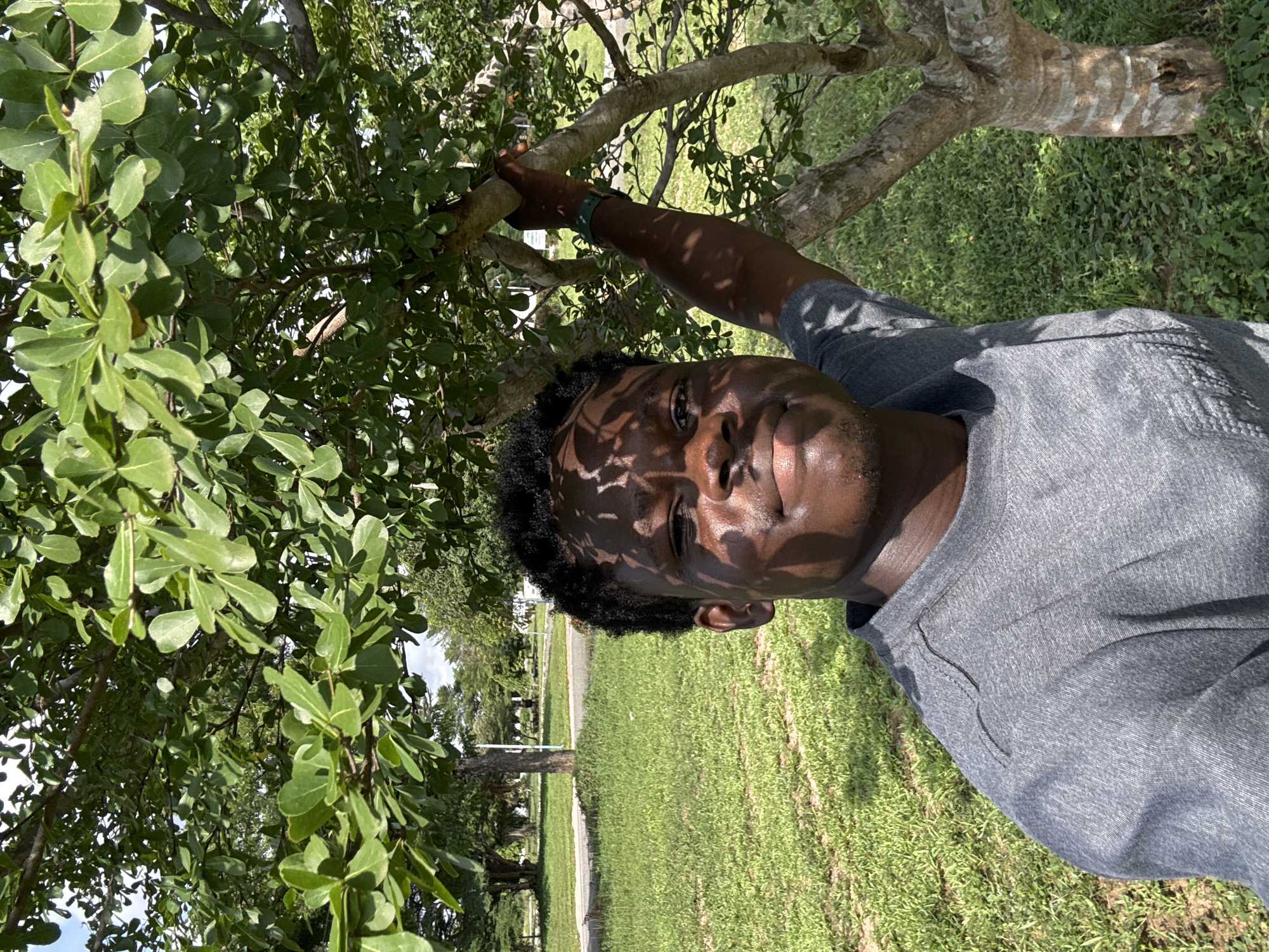 A close-up, outdoor portrait features a young Black man looking directly at the camera with a neutral to slightly smiling expression. He is positioned in the right half of the frame, with his face and upper torso visible. The bright, sunny conditions create distinct dappled shadows from tree leaves across his face, arms, and grey t-shirt.
He is holding onto a thick, light-barked tree branch with his right hand, revealing a green and black patterned wristband on his wrist. The foreground and left side of the image are filled with lush green tree leaves. The background consists of an expansive area of green grass, suggesting a park, field, or campus environment in Ihiagwa, Nigeria. More trees are visible in the distance, partially obscured by the foliage. The sky can be glimpsed through breaks in the tree canopy. No text is visible in the image.