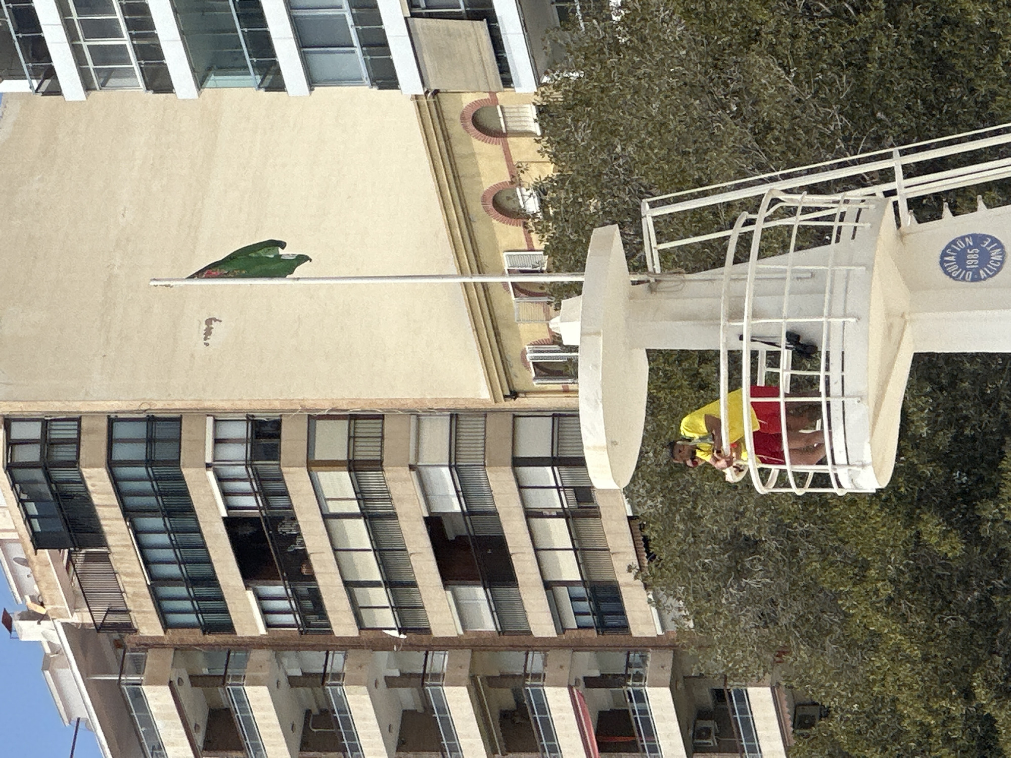 The image shows a lifeguard tower with two lifeguards on duty, overlooking a beach or pool area. The tower is white and has a circular platform with a railing. The lifeguards are wearing red shorts and yellow shirts, and one of them is holding a life preserver. In the background, there are tall buildings and trees. The sky is blue and clear. The scene appears to be in a sunny, warm climate. The lifeguard tower has the text "DIPUTACIÓN 1985 ALICANTE" inscribed on it, suggesting the location is Alicante, Spain.