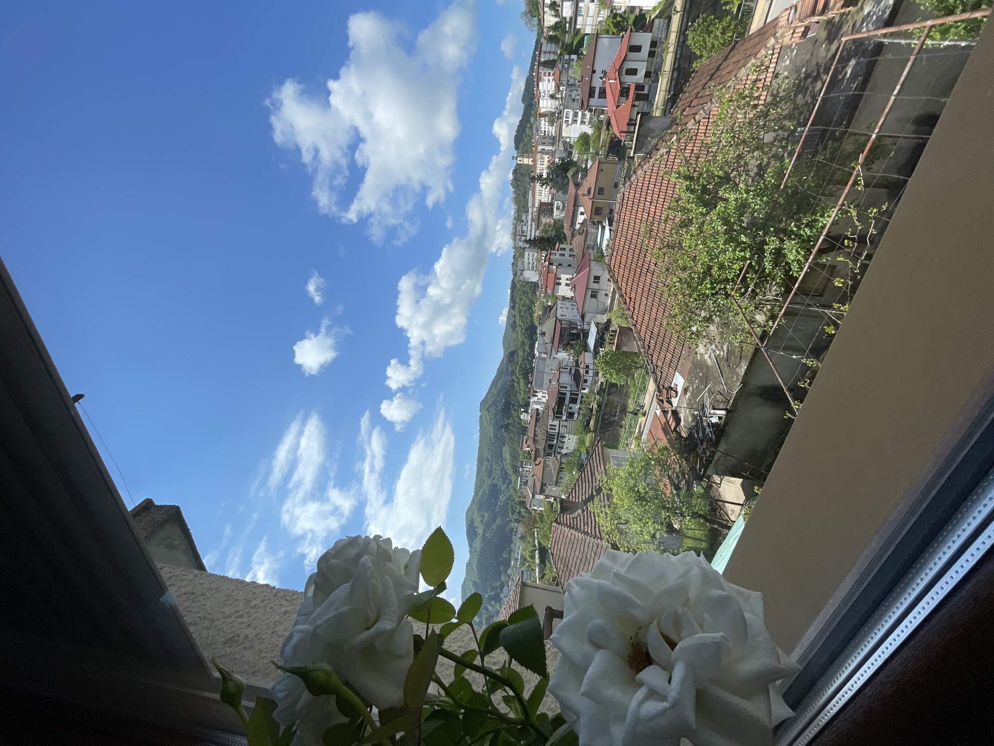 A view from a window in Zlatograd, Bulgaria, shows white roses in the foreground. Beyond the window is a hillside cityscape of houses with red-tiled roofs and greenery. The sky is bright blue with scattered white clouds. A mountain range forms the backdrop.