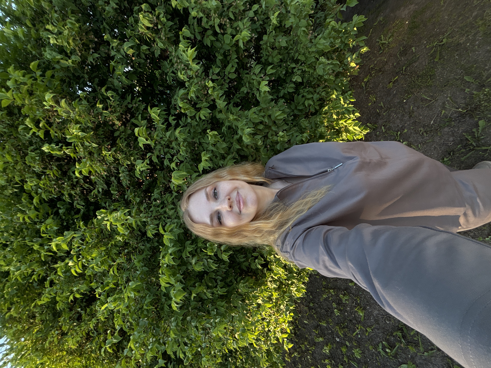 A blonde female is depicted in a selfie taken outdoors in Rozhdestveno, Russia. She has long, wavy hair, light eyes, and faint freckles across her nose and cheeks, smiling subtly. She wears a taupe or grey long-sleeved pullover top with a half-zip closure. Her left arm is extended forward, holding the camera. Behind her is a dense, tall hedge or bush with numerous small, bright green leaves. Sunlight illuminates the foliage, particularly on the lower left side, creating bright highlights. Small, light-colored berries or seeds are visible within the upper right section of the hedge. The ground beneath the hedge consists of dark soil with sparse, low green vegetation. The overall lighting suggests natural sunlight, possibly from a late afternoon or early evening angle.