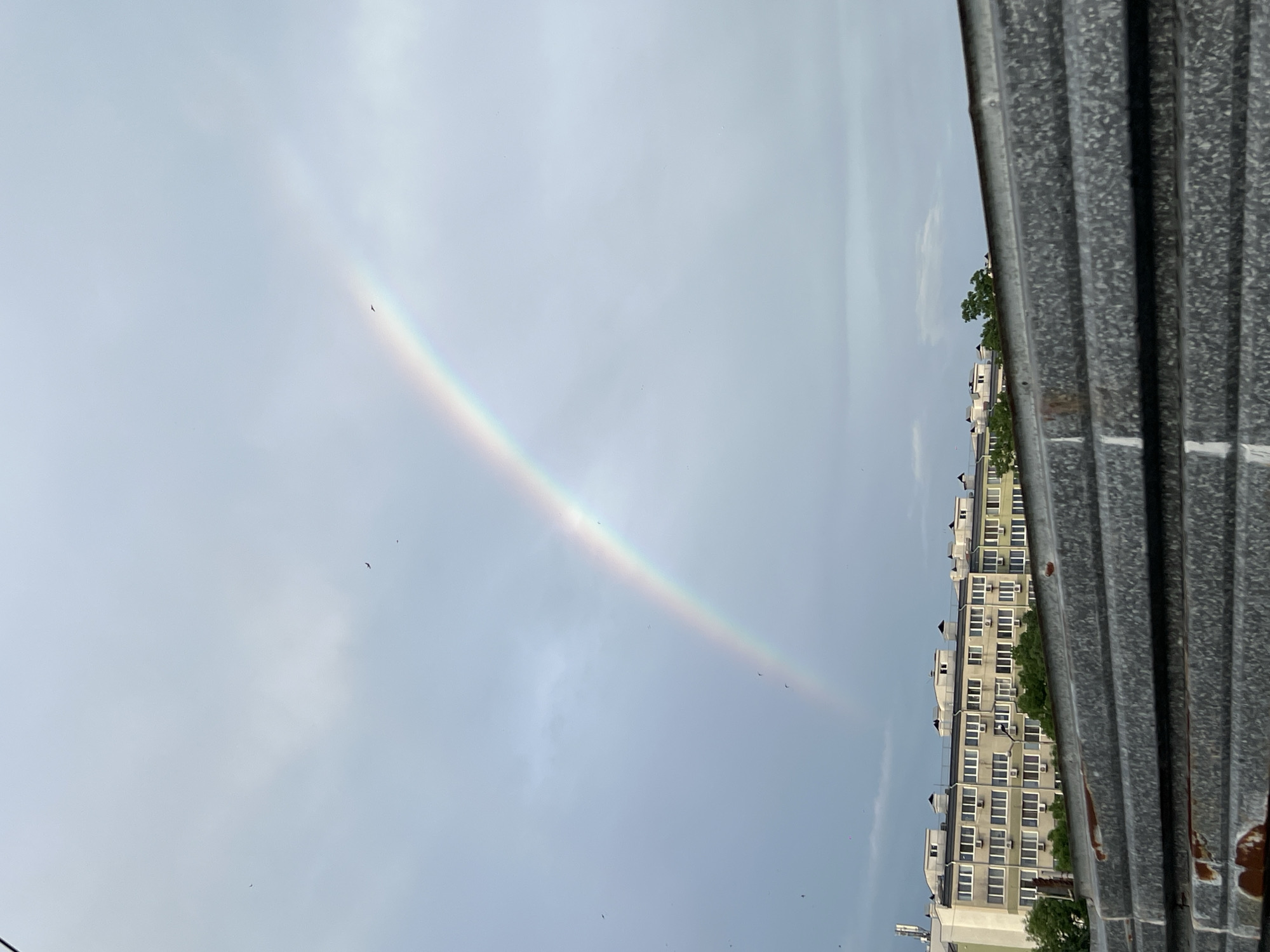 The image shows a rainbow arcing across a cloudy sky, visible from what appears to be an urban setting. In the foreground, a corrugated metal structure is partially visible, likely a fence or building element. To the right of the sky, a multi-story building with numerous windows is partially obscured by trees. Small dark shapes, possibly birds, are scattered in the sky. Given the location information, the scene is likely situated in Burgas, Bulgaria, and depicts an everyday occurrence of a rainbow appearing after rain.