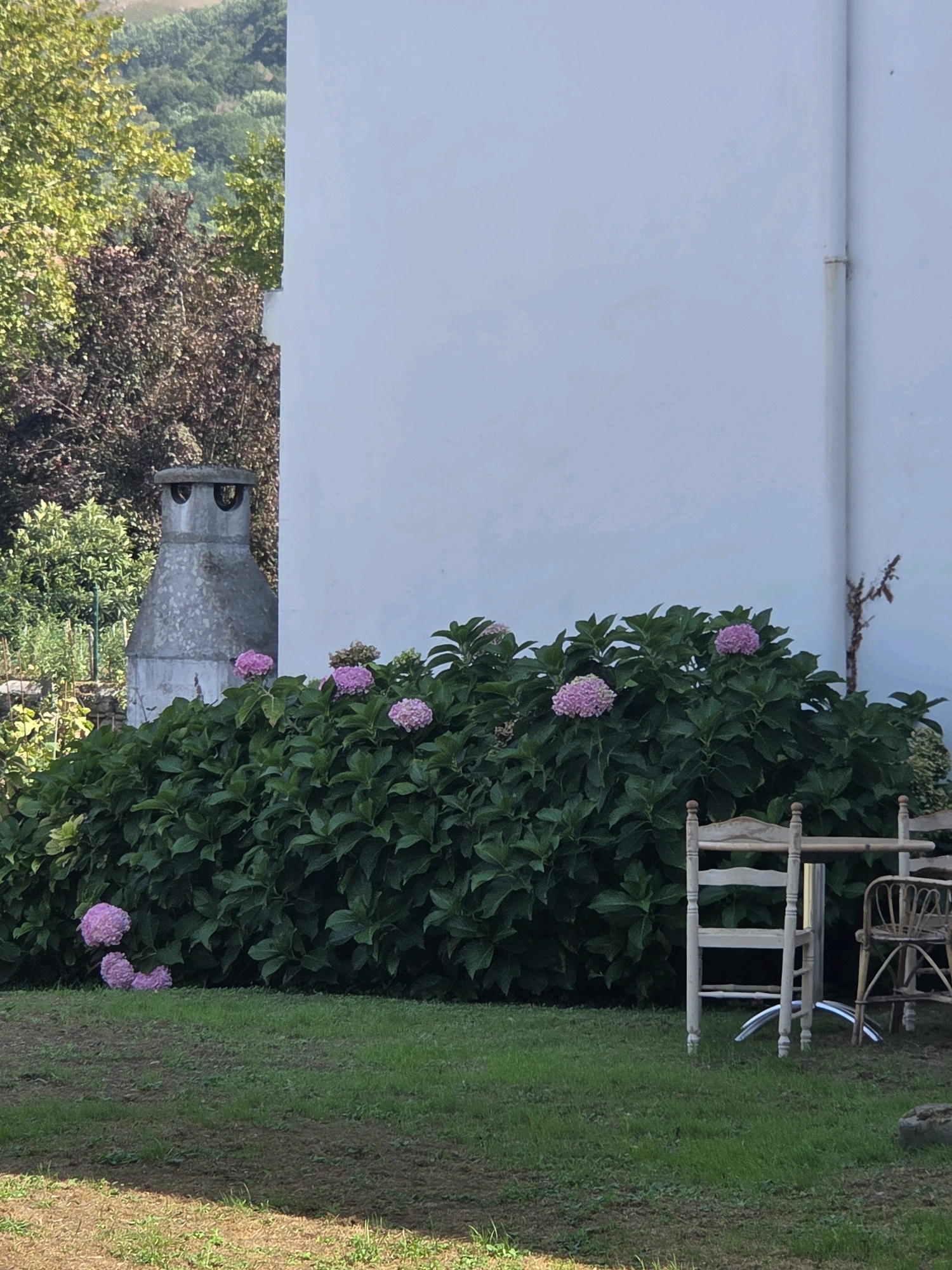 The image shows an outdoor scene, likely a garden or patio area. A large bush with dark green leaves and clusters of pink hydrangeas dominates the foreground. To the left of the bush, a weathered, conical chimney made of metal stands prominently. In the background, a white wall of a building is visible. To the right of the hydrangea bush, a rustic wooden table and two chairs are set up, suggesting an outdoor dining or seating area. The ground is covered in green grass, with some areas appearing less maintained. The overall setting is serene and natural, with hints of human presence through the furniture and chimney. The image does not contain any people. The location is identified as Baztan, Spain, but specific details about its urban context are not provided by the image itself.