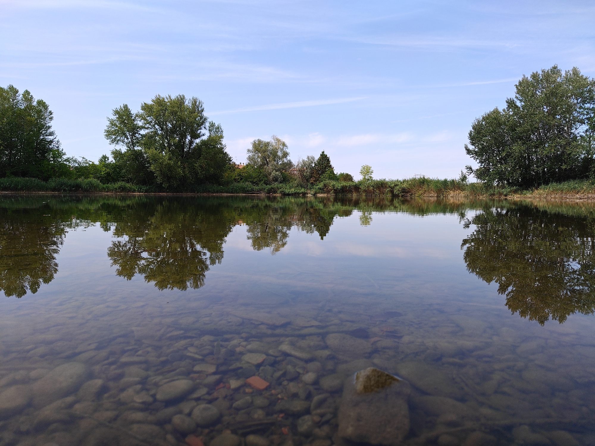 The image depicts a tranquil river scene on a clear day. The foreground is dominated by the shallow, clear water, revealing a bed of smooth, multicolored stones and pebbles. The water's surface acts as a mirror, reflecting the lush green trees and the pale blue sky dotted with wispy white clouds that form the background. The trees line the riverbank, creating a dense, verdant barrier. The reflection of the trees is distorted slightly by the gentle ripples on the water's surface. There are no people or man-made structures visible in the scene, suggesting a natural and undisturbed environment. The overall impression is one of serenity and natural beauty. Without further information, the specific location in Modena, Italy, cannot be determined from the image itself.
