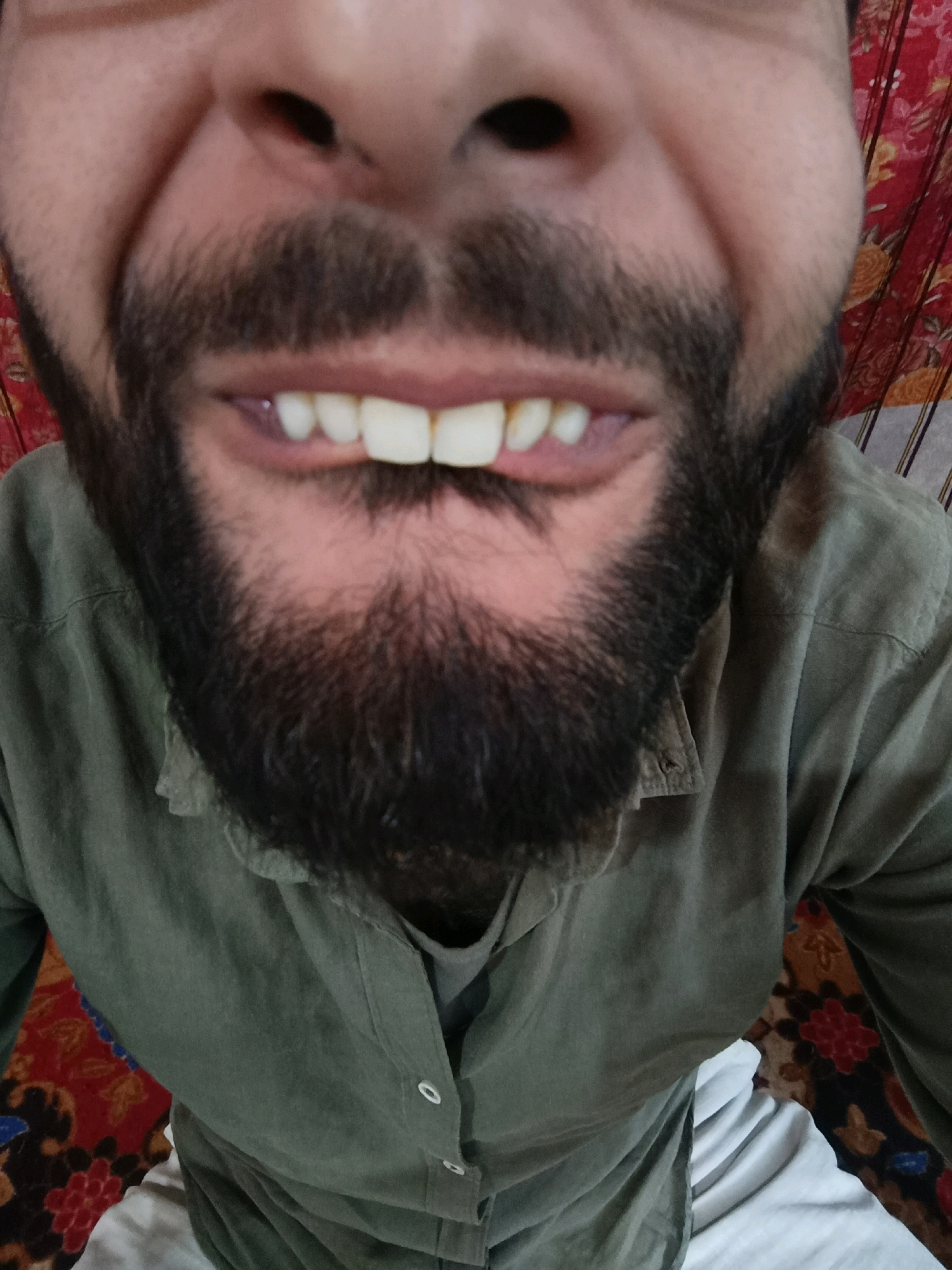 The image is a close-up, fisheye lens shot of a person's face, focusing on their mouth and beard. The person is smiling, revealing white teeth. They have a dark beard and mustache. The person is wearing a green collared shirt. The background is blurry and appears to be a patterned fabric, possibly a tapestry or curtain, with red and yellow floral designs, and some vertical stripes. There are no identifiable landmarks or elements that would suggest the image was taken in Srinagar, India. The setting is intimate and personal, with the camera positioned very close to the subject's face.