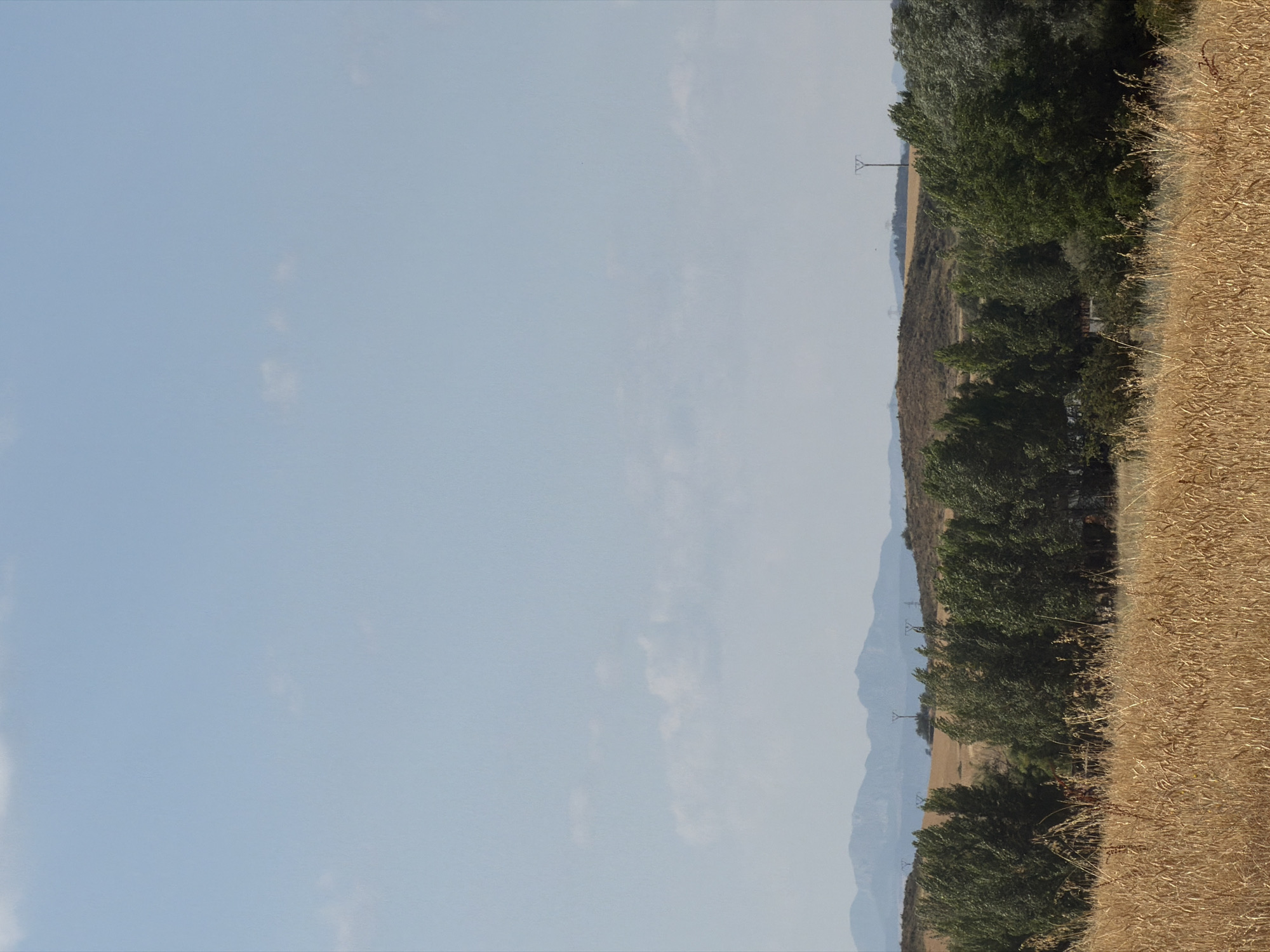 This is a landscape photograph taken in Valdefresno, Spain. The image depicts a rural scene with a clear blue sky dotted with a few wispy clouds. In the foreground, there is a field of dry, golden wheat stalks. Behind the wheat field, a line of mature, dark green trees stretches across the middle ground. Beyond the trees, rolling hills are visible, with some areas appearing dry and arid, while others are covered in sparse vegetation. In the distance, a range of hazy, blue mountains forms the backdrop. Several electricity pylons are scattered across the landscape, indicating the presence of infrastructure. The overall impression is one of a sun-drenched, agricultural area.