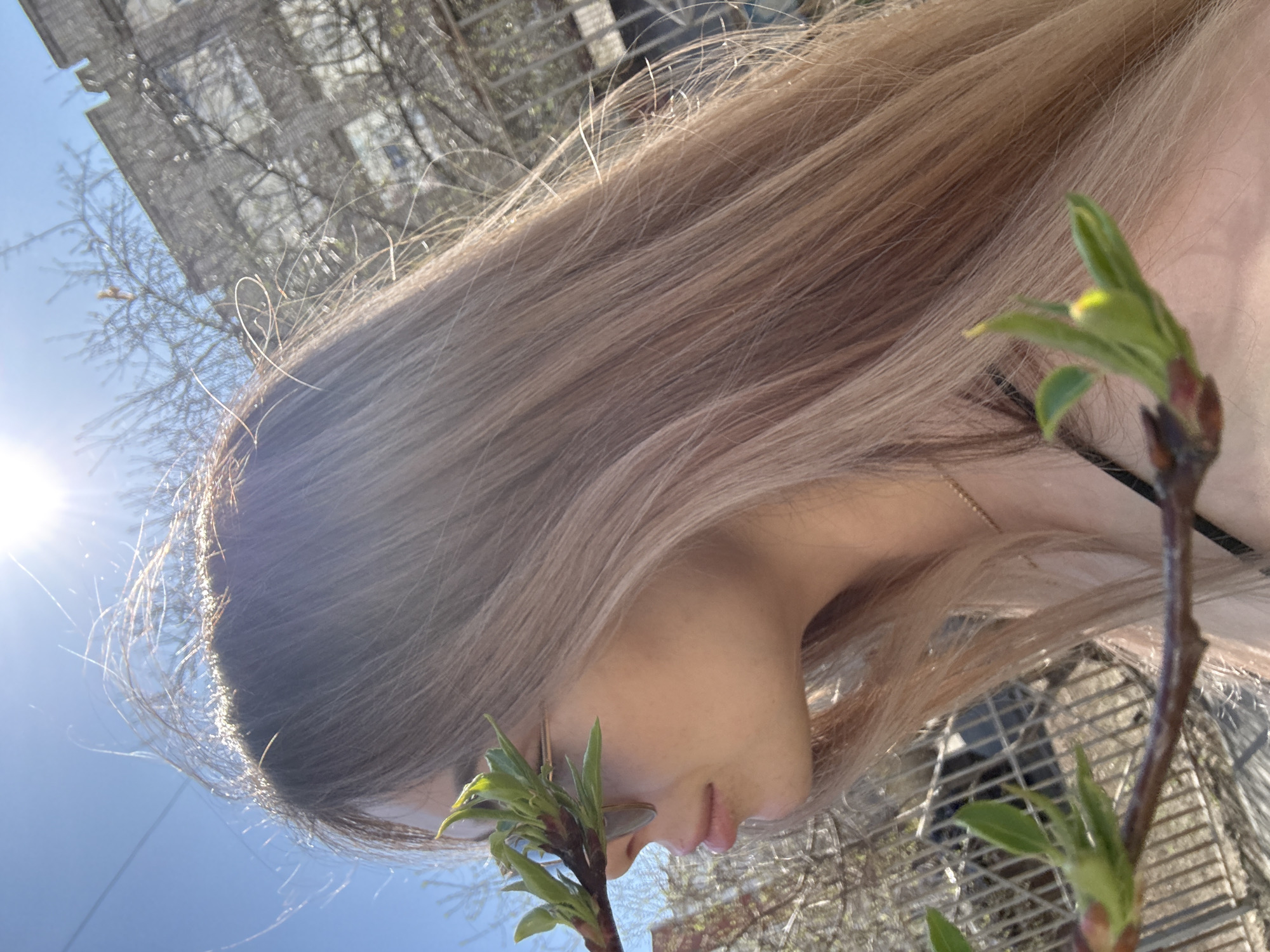 A low-angle shot features a person, predominantly their light brown hair and side profile, against an urban backdrop. The person is positioned in front of a building, with budding branches of a tree or shrub in the foreground partially obscuring their face. Sunlight glares off the top of the hair, and a chain is visible around the person's neck. The scene appears to be taken outdoors in a city setting, with buildings and a glimpse of the sky visible.