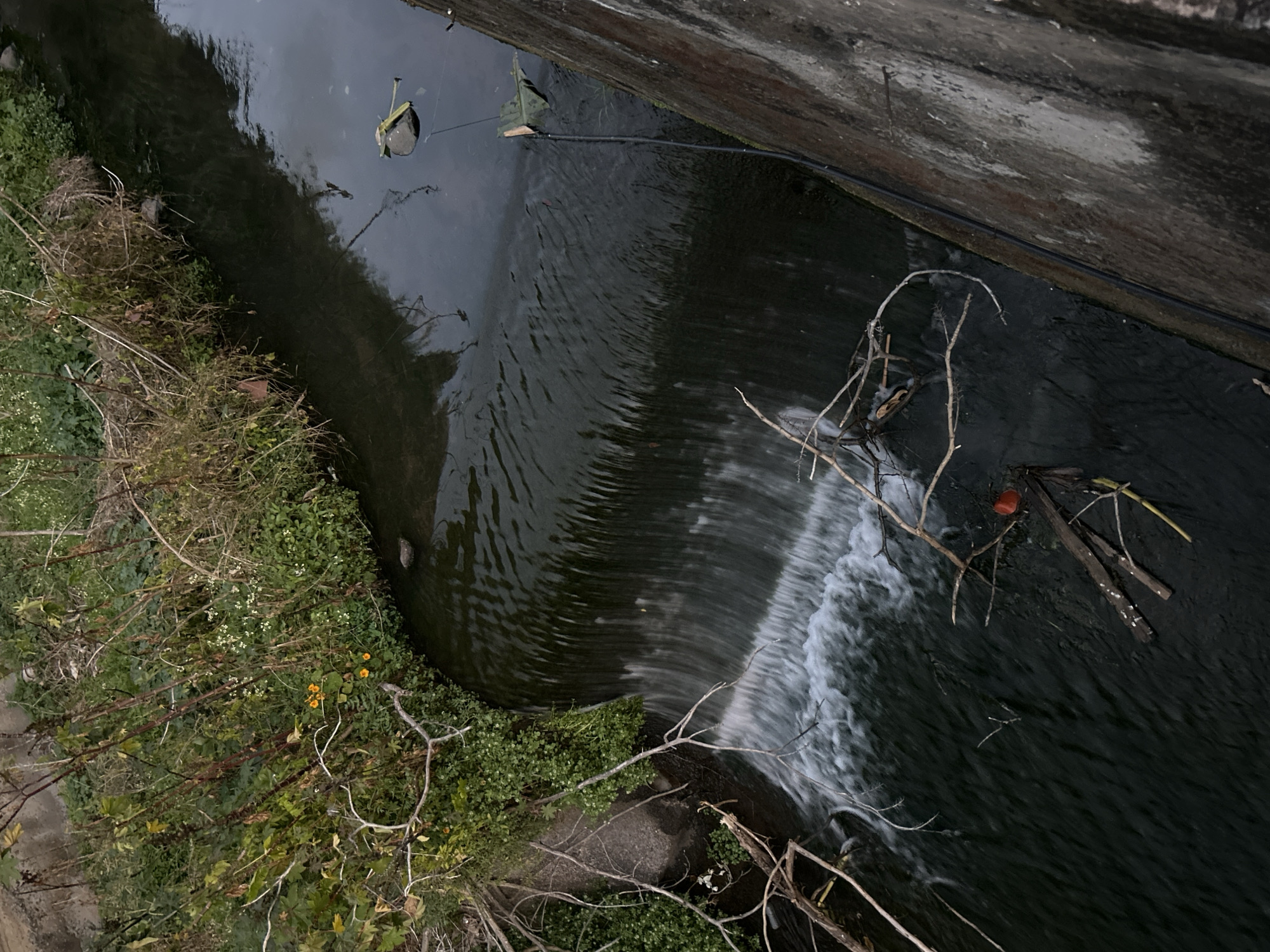 The image shows a small canal or stream in Câmara de Lobos, Portugal. The water flows from upper right to lower left, creating a small waterfall. The canal is bordered by a concrete wall on the right and vegetation on the left. Debris, including branches and a red object, is present in the water. Above the canal is a round object suspended by a rope from the concrete wall. A black hose runs along the concrete wall.