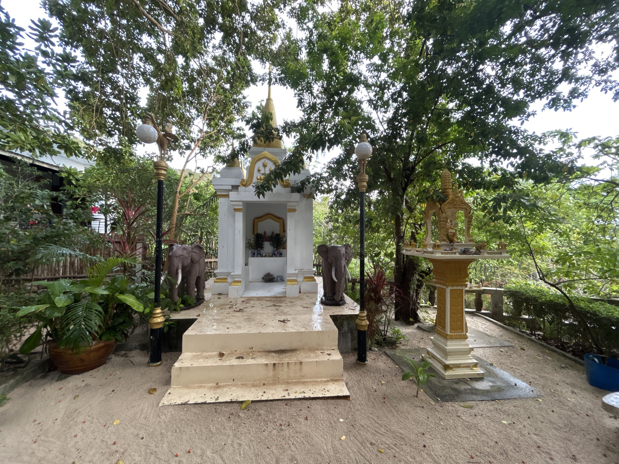 The image shows a spirit house in ตำบลเกาะพะงัน, Thailand. The spirit house is a white and gold structure with a peaked roof, elevated on steps. Inside the house are various offerings, including flowers and figurines. Flanking the spirit house are two elephant statues and ornate lamp posts. To the right is another elevated, ornate offering table. The surroundings include trees, plants, and a sandy ground surface.