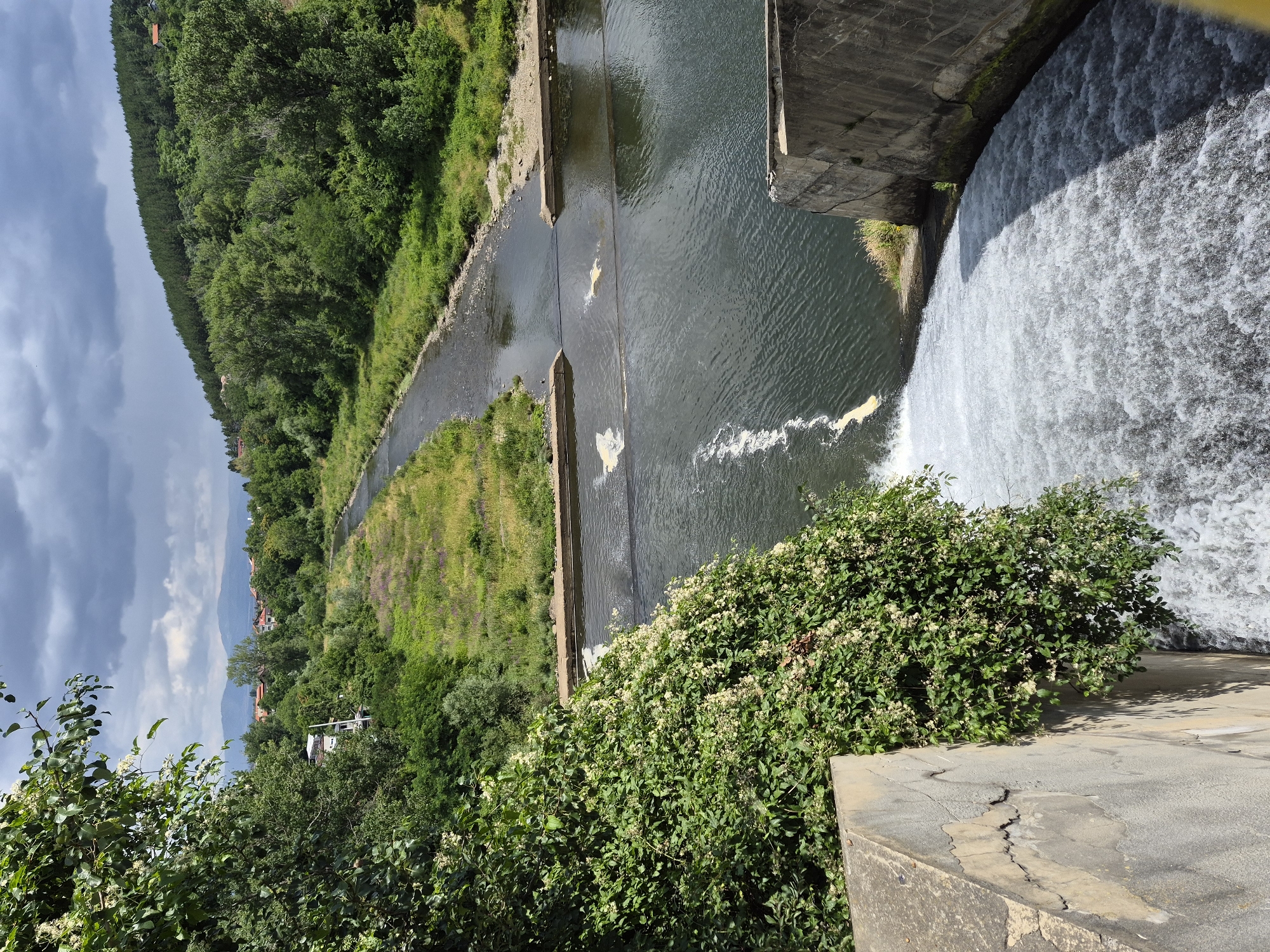 The image captures a scenic view of the Pancharevo Gorge in Pancharevo, Bulgaria. The foreground is dominated by a concrete dam with a powerful waterfall cascading down, creating white foam and turbulent water. To the left of the dam, lush green foliage, including flowering vines, covers a concrete structure. The middle ground features a river flowing through a channel with man-made barriers and calmer water, interspersed with patches of dry grass and some scattered yellow flowers. On the right bank of the river, a dense forest with various shades of green trees stretches towards the horizon. In the distance, rolling hills are covered with more trees, and a few buildings, including houses with red roofs, are visible nestled among them. The sky above is partly cloudy, with dramatic dark clouds contrasting with patches of brighter sky. The overall scene depicts a natural landscape influenced by human infrastructure, likely a hydroelectric dam or water control system within the Pancharevo Gorge.