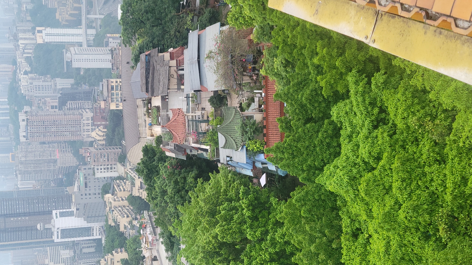 The image presents an elevated view of a cityscape transitioning into a dense green landscape. On the left, a cluster of high-rise buildings suggests an urban center, characterized by varied architectural styles and muted colors due to atmospheric haze. Progressing towards the center, the scene reveals traditional-style buildings with tiled roofs of terracotta and green hues, interspersed with modern structures.
The right side is dominated by a mass of green foliage, likely trees, filling much of the frame. In the extreme upper right, a section of a building's edge with yellow and terracotta details is visible. The environment appears to be a mix of residential and natural elements, indicating the proximity of urban development to green spaces. The overall setting indicates a geographical location where city and natural landscapes converge.