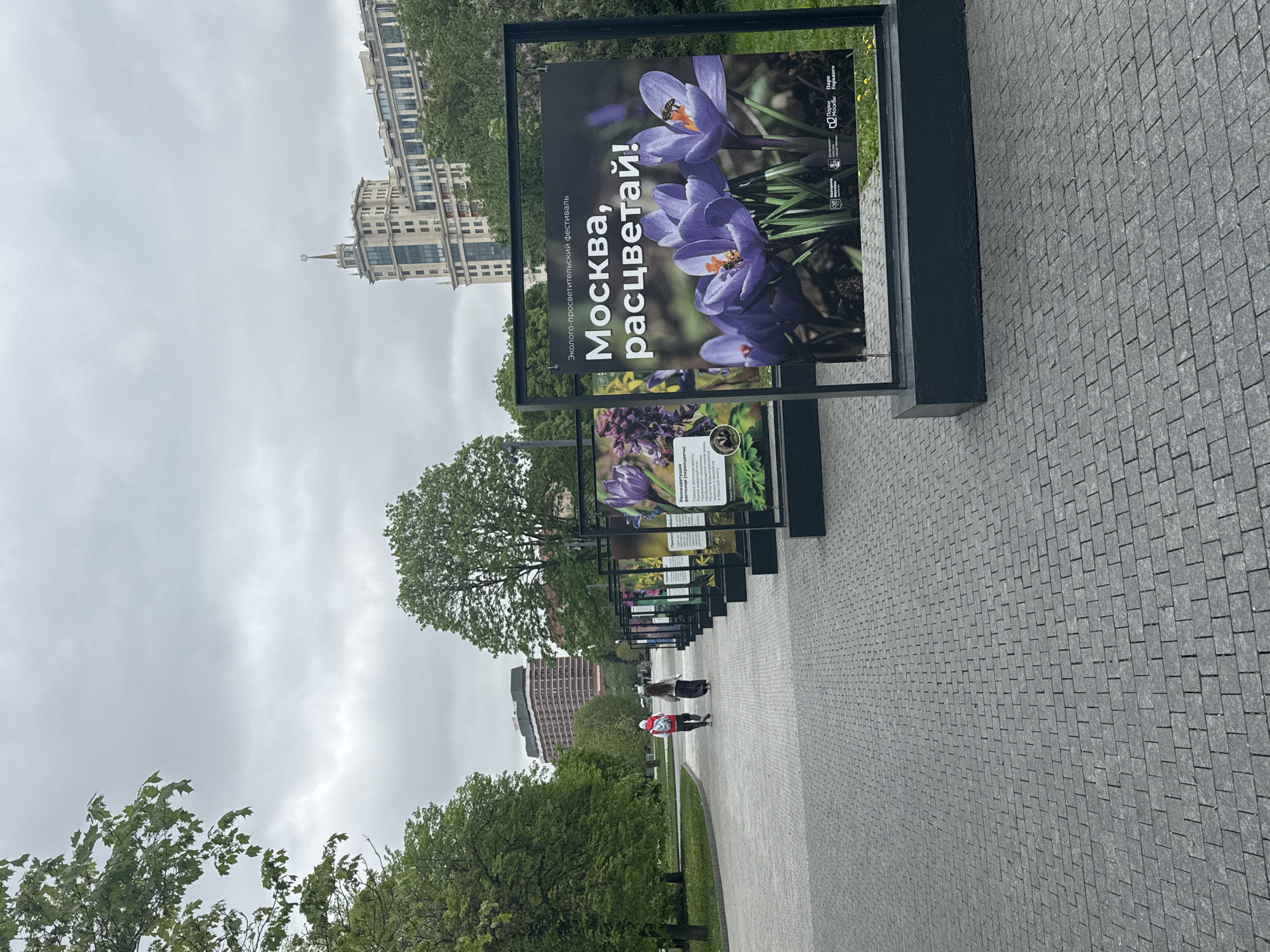 The image shows a pedestrian walkway paved with gray cobblestones, lined with a series of black metal display stands. Each stand holds a poster featuring a photograph of flowering plants. The text on the foremost poster reads "Moscow, Rascvetai!" indicating this is located in Moscow, Russia. In the background, trees and green grass line the walkway, suggesting a park setting. Further back, buildings are visible, including one with a tower. Two people are walking on the path. The sky is overcast and gray.