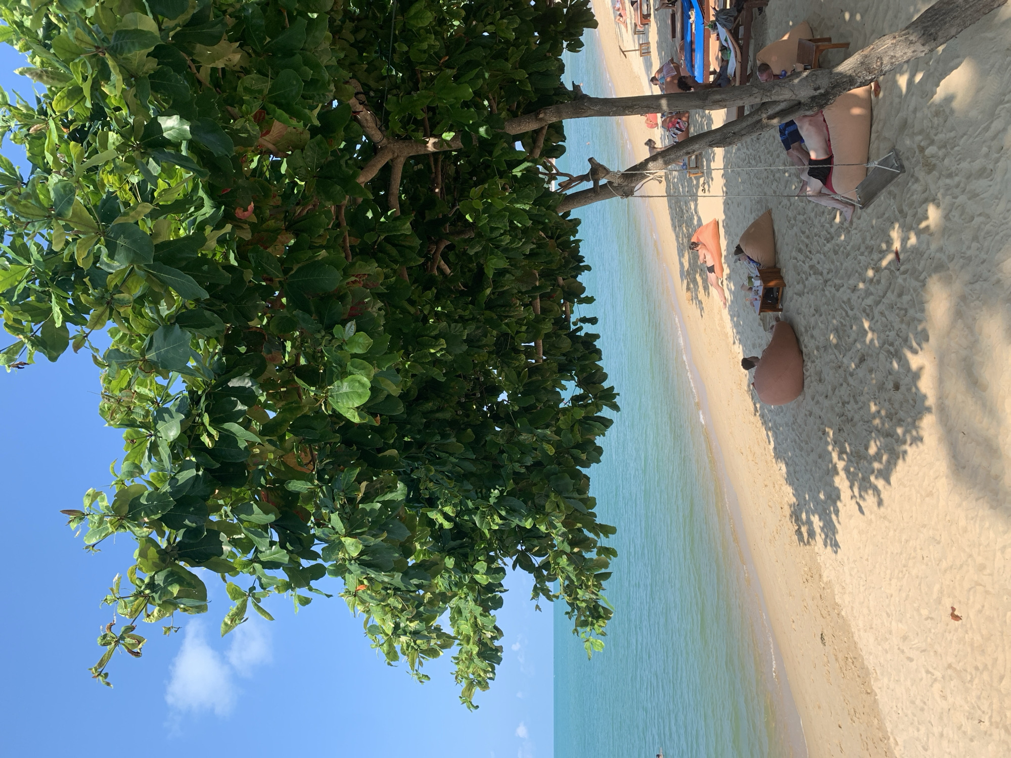The image depicts a beach scene in Baan Mae Nam, Thailand, from a low-angle perspective. A large, leafy tree occupies the left side of the frame, partially obscuring the view. Beyond the tree, the turquoise sea meets a sandy beach. On the beach, people are relaxing on beanbag chairs beneath trees, some with small tables beside them. There are several beach chairs with people on them. The sky is blue with a few scattered clouds.