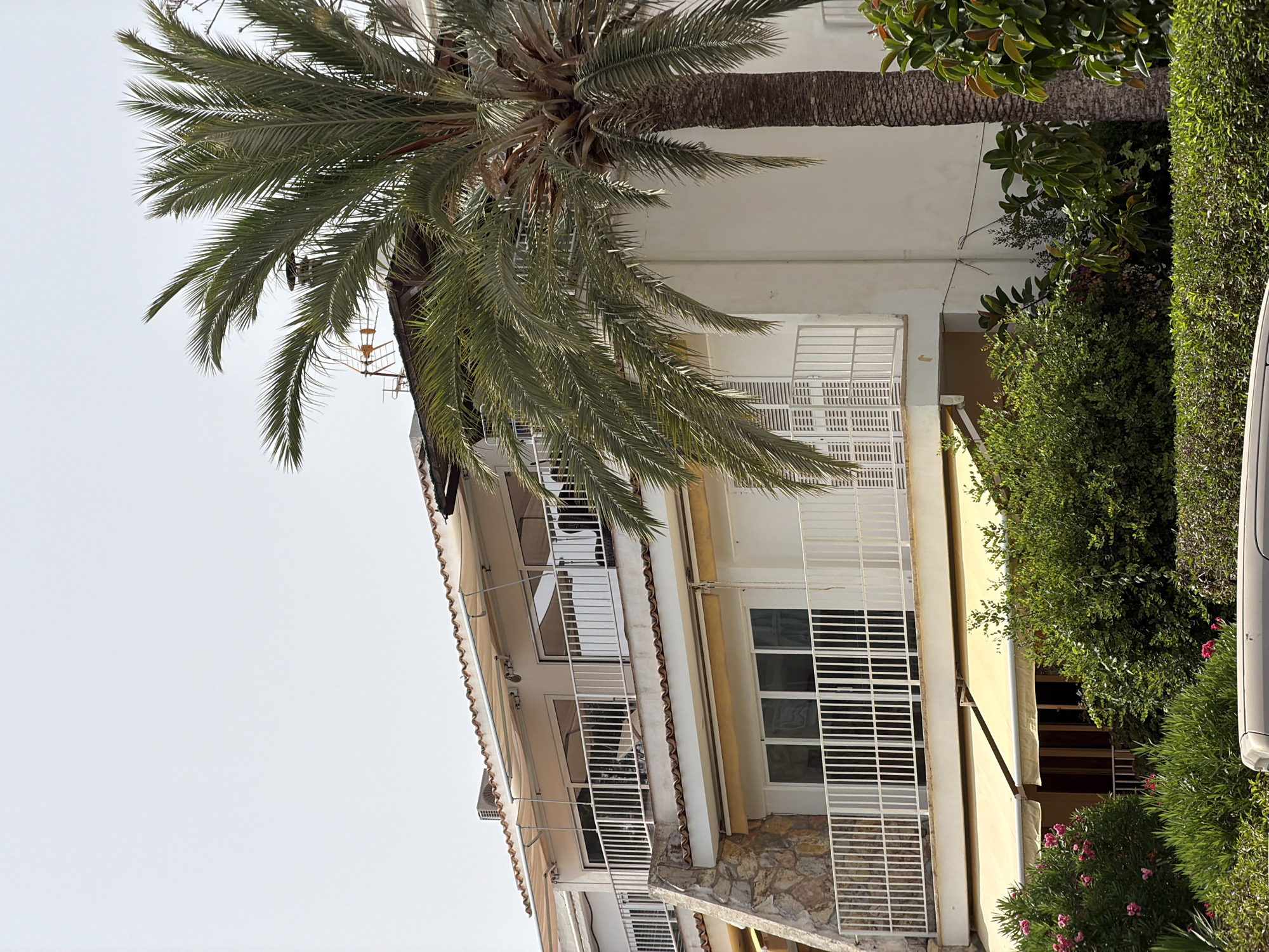 The image captures a section of a multi-story building in Palmanova, Spain, with a prominent palm tree in the foreground. The building features white walls, white railings on balconies, and tiled roofs. Several balconies are visible, some with awnings extended. Greenery, including bushes and flowering plants, surrounds the base of the building. The sky is overcast. A portion of a light-colored vehicle is visible at the bottom of the frame. There are no people or discernible actions taking place in the scene.