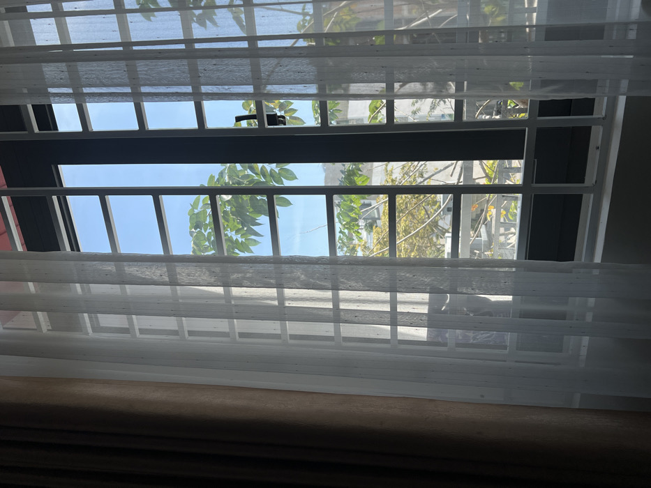 A low-angle shot frames a window covered with a sheer, white, grid-patterned curtain. Outside the window, clear blue sky and green tree foliage are visible, juxtaposed with the sharp lines of nearby buildings. The window itself is a dark color, bisecting the view into two distinct sections. The bottom foreground is filled by a dark, neutral-colored surface. Overall, the image focuses on the interplay of light, shadow, and patterns.