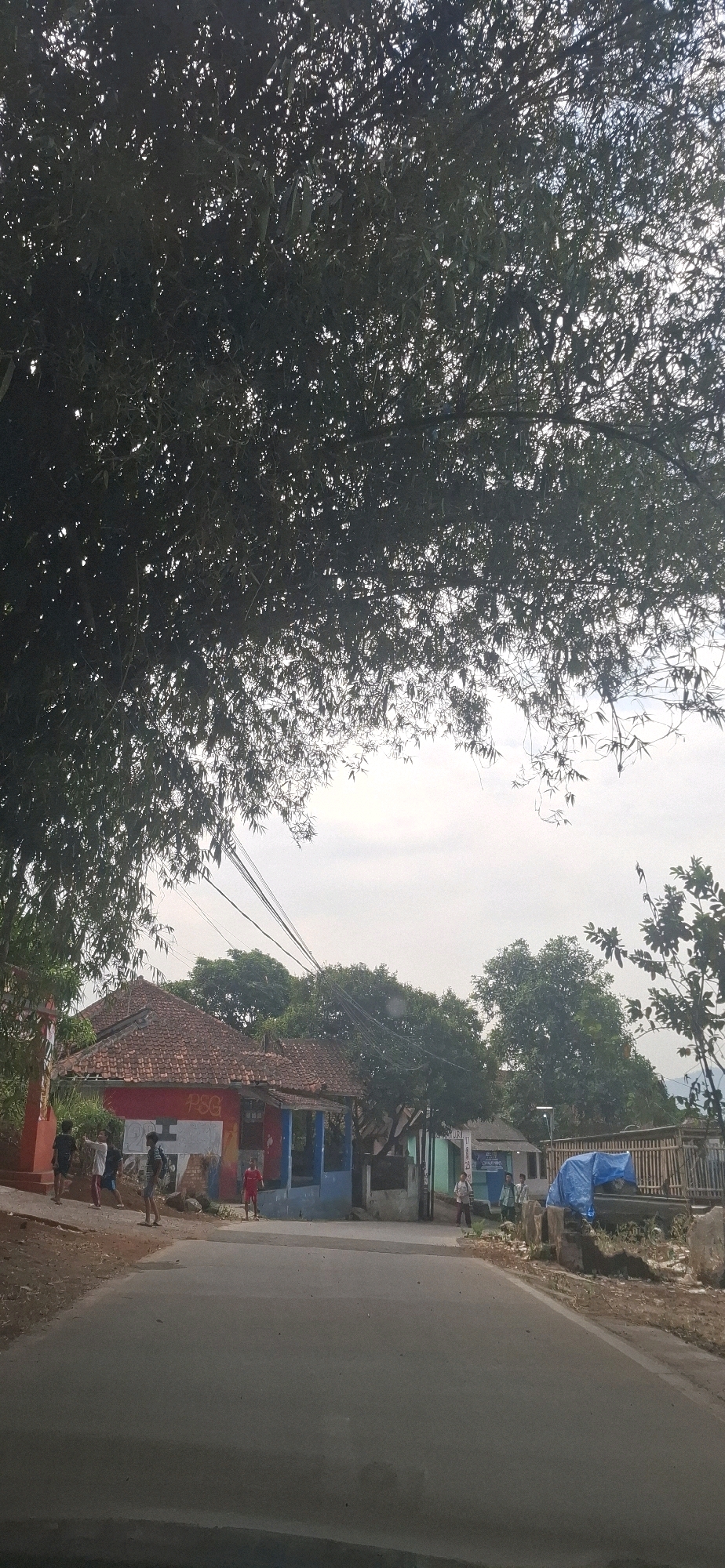 In Ciharashas, Indonesia, this image captures a rural road scene. A wide asphalt road occupies the foreground, leading towards a cluster of buildings on the left side of the frame. Overhead, a dense canopy of dark green foliage from a large tree dominates the upper portion of the image, with sunlight filtering through the leaves.
The buildings on the left are primarily single-story structures with red tiled roofs. One building, painted with red and blue sections, displays graffiti including the letters "PSG". Several people are visible near these buildings: a group of young individuals stand on a raised dirt path to the left, some appearing to be walking or standing. A single individual in a red shirt stands in front of the blue section of the building. Further down the road, another building with a green facade and a smaller structure behind it are visible. A sign with text and numbers, possibly a notice or advertisement, is attached to a post near these buildings.
To the right of the road, a wooden fence forms a boundary, and a large object covered with a blue tarp is situated behind it. The sky above is overcast, with soft, diffused light. Power lines are strung across the scene, extending from the left side towards the right. The overall environment suggests a casual, everyday setting in a village.