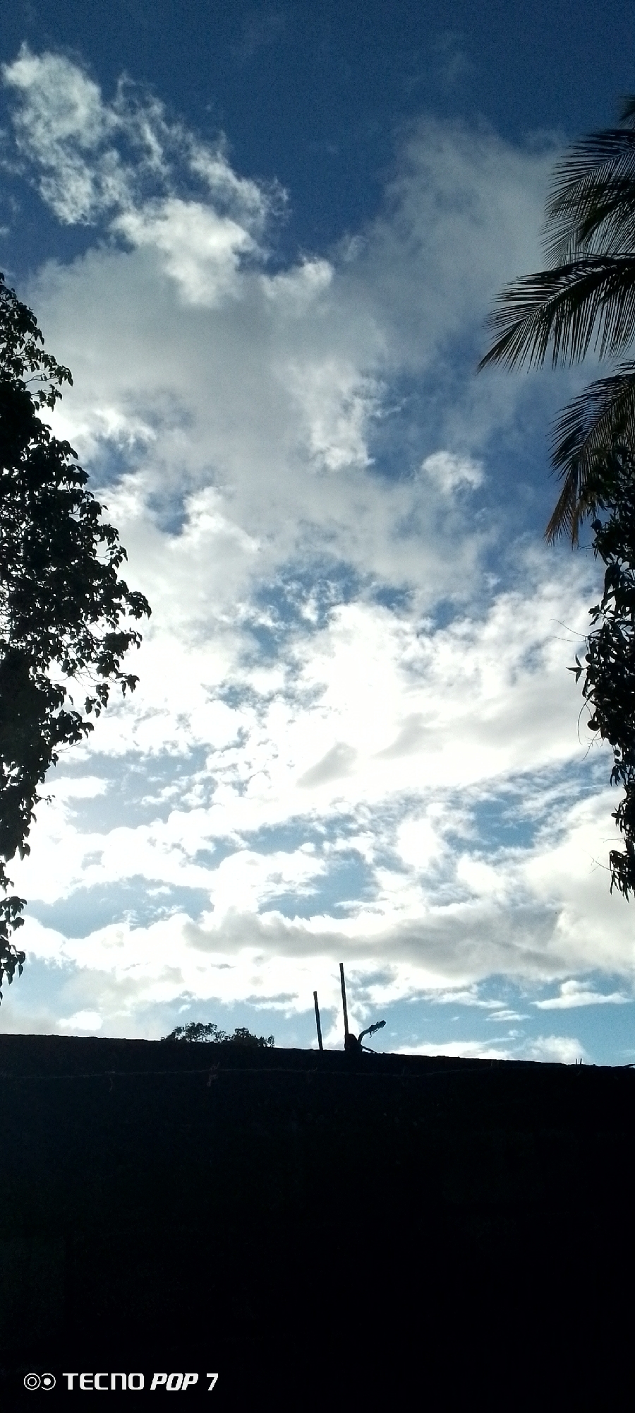The image depicts a silhouette of a low-lying structure against a sky filled with white and grey clouds. Two tall, thin, dark poles or sticks stand vertically on top of the structure in the foreground, with a small, dark, leafy tree visible behind them and to the left. The sky is a gradient of deep blue at the top, transitioning to lighter blue with scattered white clouds further down. Dark silhouettes of trees or foliage are visible on the far left and right edges of the image, framing the sky. The lower portion of the image, including the structure and surrounding foreground, is entirely black, obscuring any details. A watermark reading "TECNO POP 7" is present in the bottom left corner. The scene is likely an outdoor setting in Altagracia, Venezuela, possibly during daylight hours based on the presence of clouds and blue sky.