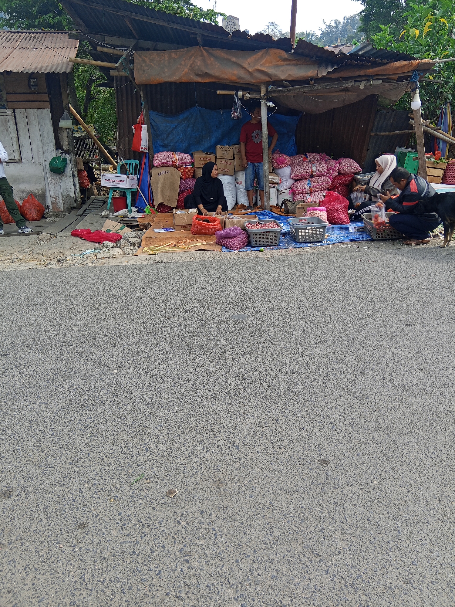 In Makale, Indonesia, on a roadside, an outdoor market stall is set up beneath a corrugated tin roof supported by wooden poles. The stall displays numerous sacks and piles of what appear to be red onions and other produce. A woman wearing a black hijab sits behind the stall, surrounded by produce. To her right, a man wearing a blue jacket and a white hijab is attending to customers, and another man in a black jacket is crouching down, handling produce. A dog is also present near the crouching man. In front of the stall, several baskets and bags of produce are arranged on a blue tarp spread across the ground. A person in green pants and white shoes is walking away from the stall on the left side of the image. Red plastic bags filled with produce are visible on the ground near the stall and further to the left. The scene is set against a backdrop of trees and a hillside, with a paved road in the foreground.