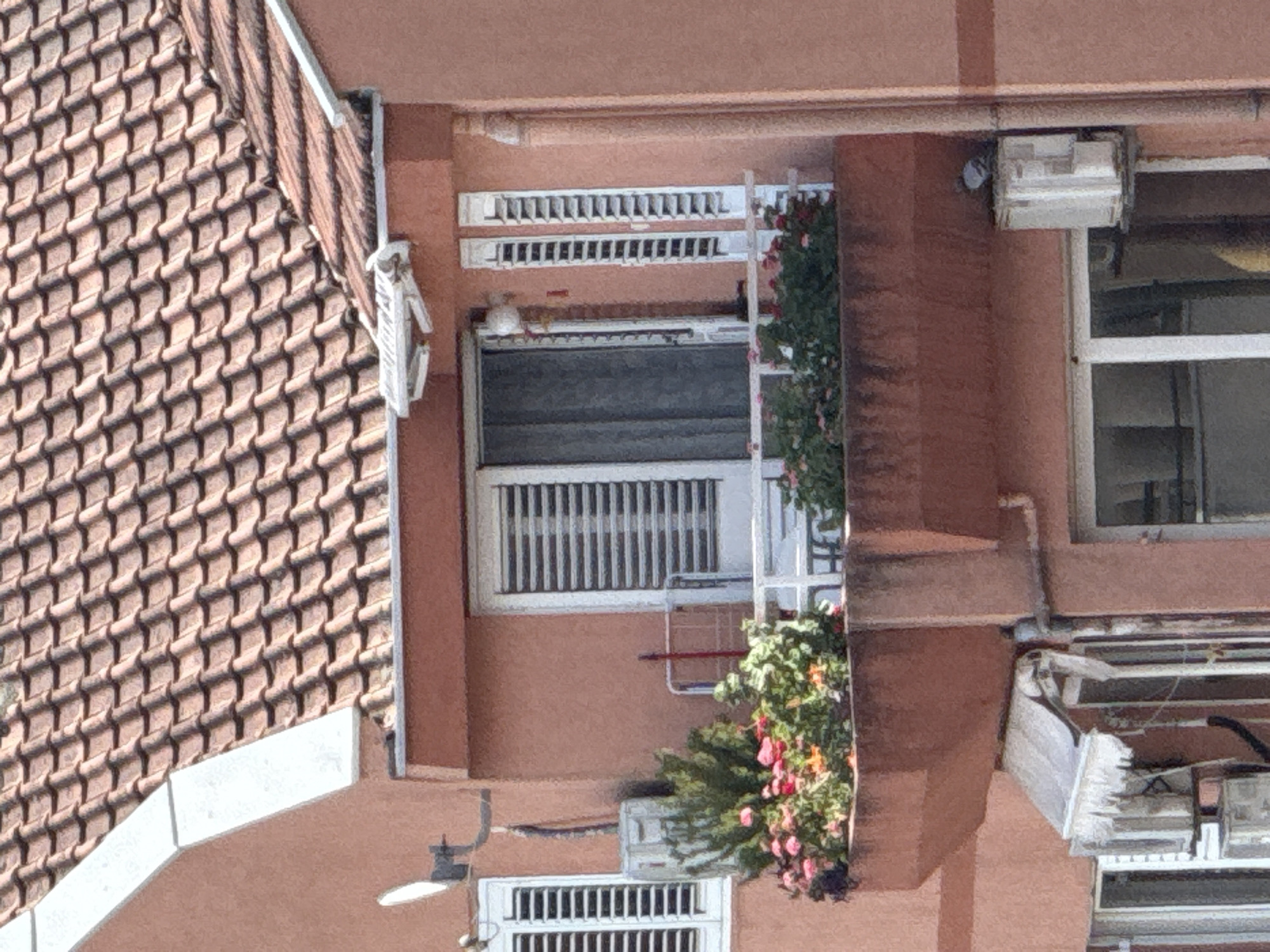 The image shows a close-up view of a building facade. The building has a tiled roof on the left side. The facade is painted in a light pink hue. Several windows are visible, some with white frames and vertical bars. There is a metal ladder propped against the facade with plants growing on it. Air conditioning units are attached to the exterior of the building, some with protective covers. Based on architectural style and climate, the building could potentially be located in a Mediterranean city such as Budva, Montenegro. However, definitive confirmation requires additional contextual information.