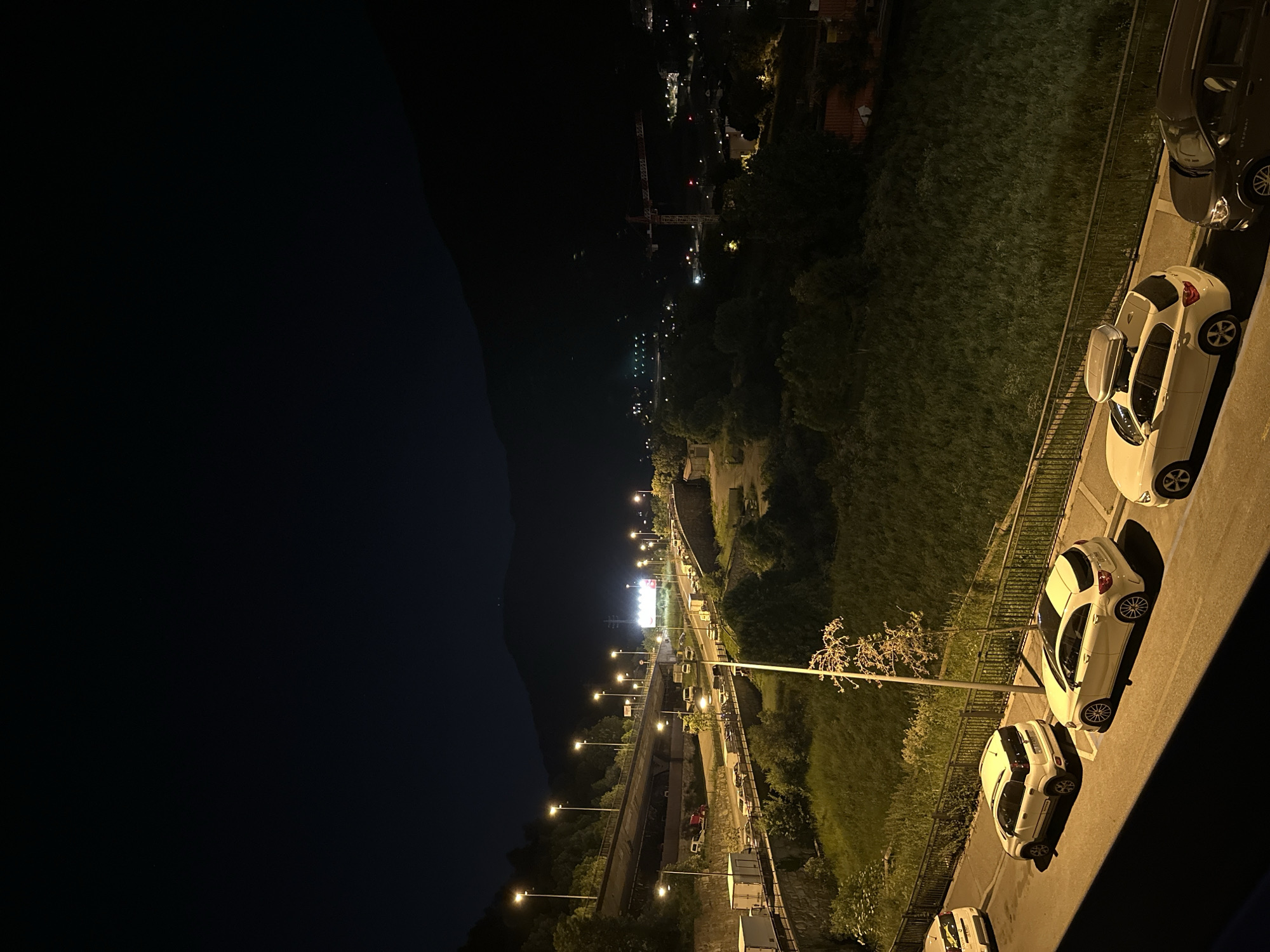 At night in Encamp, Andorra, a view overlooking an illuminated road. On the right side of the image, there are parked white and gray cars, next to a metal railing and dense green foliage. Across the road is the black, mountainous terrain. The roadway is illuminated by numerous street lights. Further ahead on the road, is an even brighter area. In the distance, are some other lights near a construction crane.