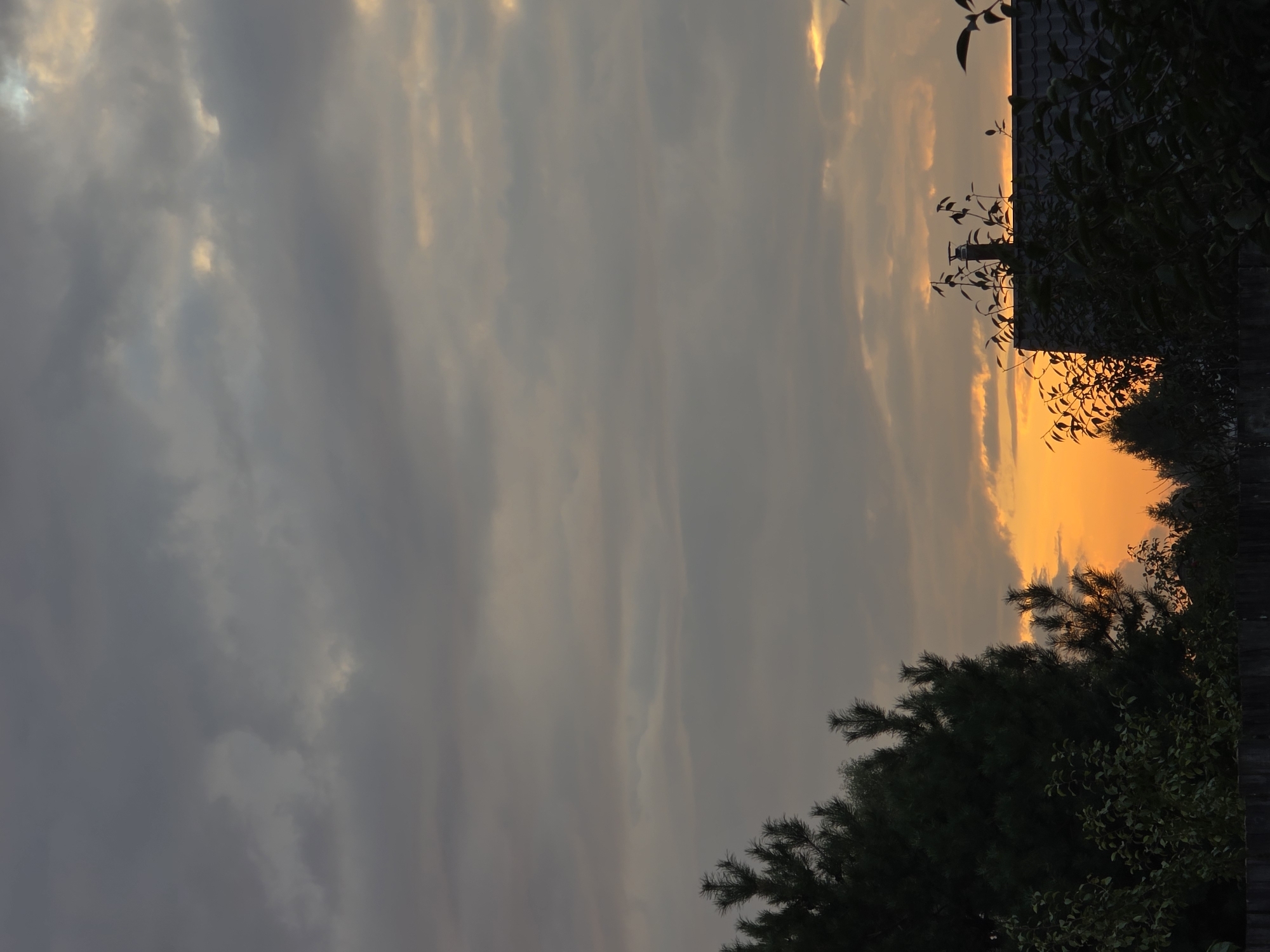 The image depicts a sunset scene in a suburban or rural area. The sky is filled with overcast clouds, with a bright orange glow of the setting sun visible through a break in the clouds near the horizon. Silhouetted against the sunset are the dark green branches of pine trees and other foliage on the left side of the frame. In the lower right quadrant, the dark roof and chimney of a house are visible, also in silhouette. The image appears to be taken from a low angle, looking upwards towards the sky. There are no people or animals visible in the frame. The overall impression is one of a quiet evening.