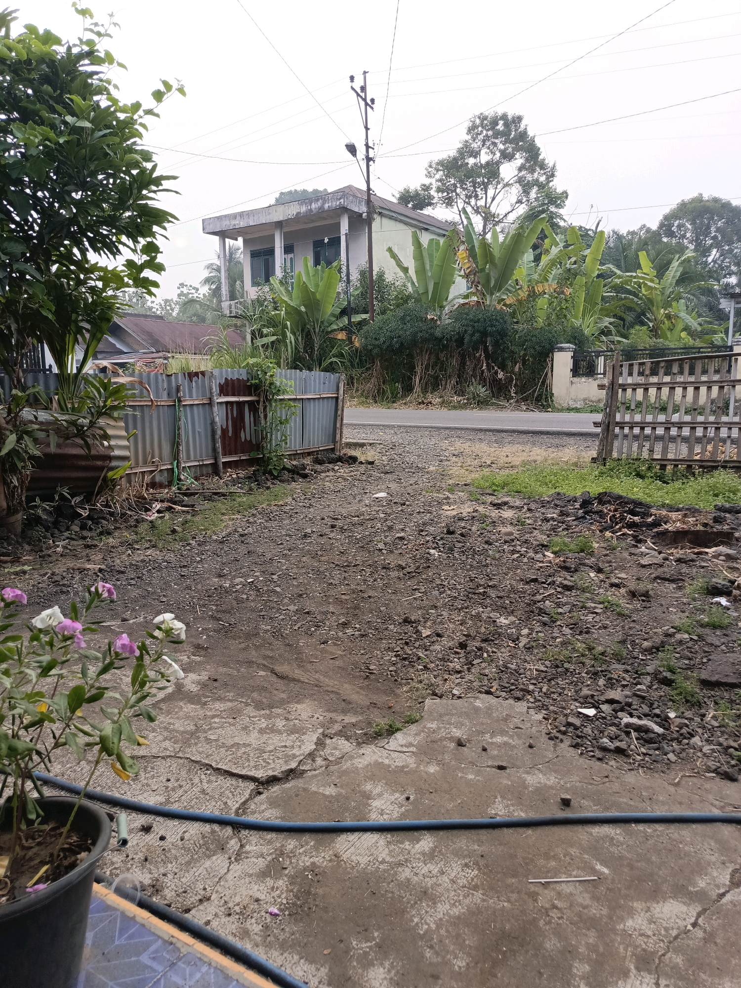 The image captures a roadside scene in Ulak Tanding, Indonesia, on an overcast day. In the foreground, a potted plant with small pink and white flowers sits on a cracked concrete surface, with a blue hose extending across it. The ground is a mix of gravel and dirt. A corrugated metal fence runs along the left side of the scene, partially obscuring a red-roofed structure behind it. To the right, a wooden fence encloses an area. Beyond the fences, a road is visible with a neutral-colored building in the background, surrounded by lush greenery including large banana plants. Electrical poles and wires are present in the sky. The overall impression is one of a slightly unkempt, residential or semi-rural environment.
