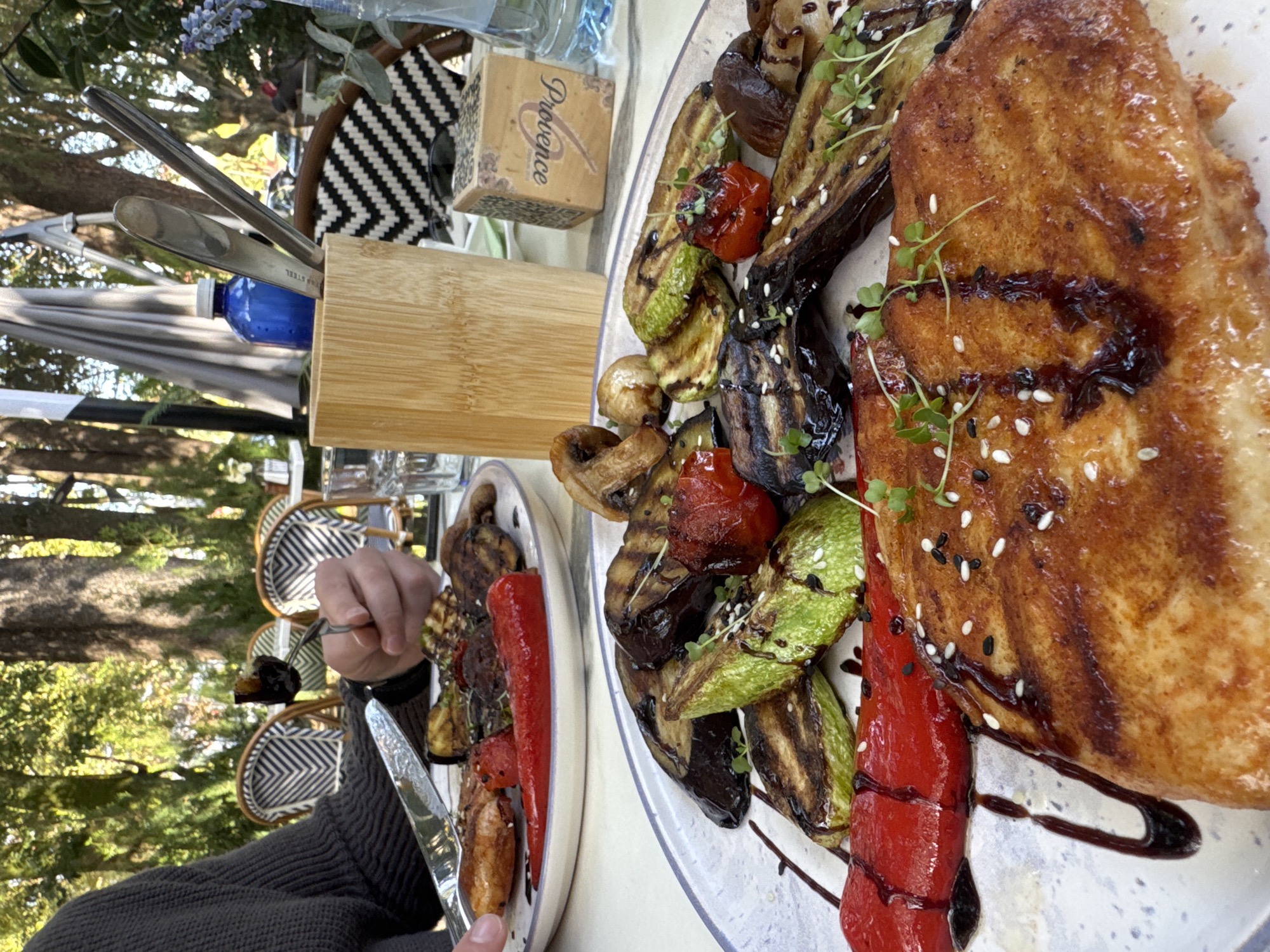 The image shows two plates of grilled vegetables and a piece of breaded meat on a table, presumably outdoors, given the trees visible in the background. The vegetables appear to be zucchini, eggplant, red pepper, and mushrooms, all with grill marks. The breaded meat is sprinkled with sesame seeds and drizzled with a dark sauce. A person in a dark-colored sweater is visible, holding a fork with a piece of grilled eggplant on it and a knife. The scene is set at a table with a bamboo utensil holder and a box labeled "Provence." The location in the city of Unknown, Unknown cannot be determined from the image.