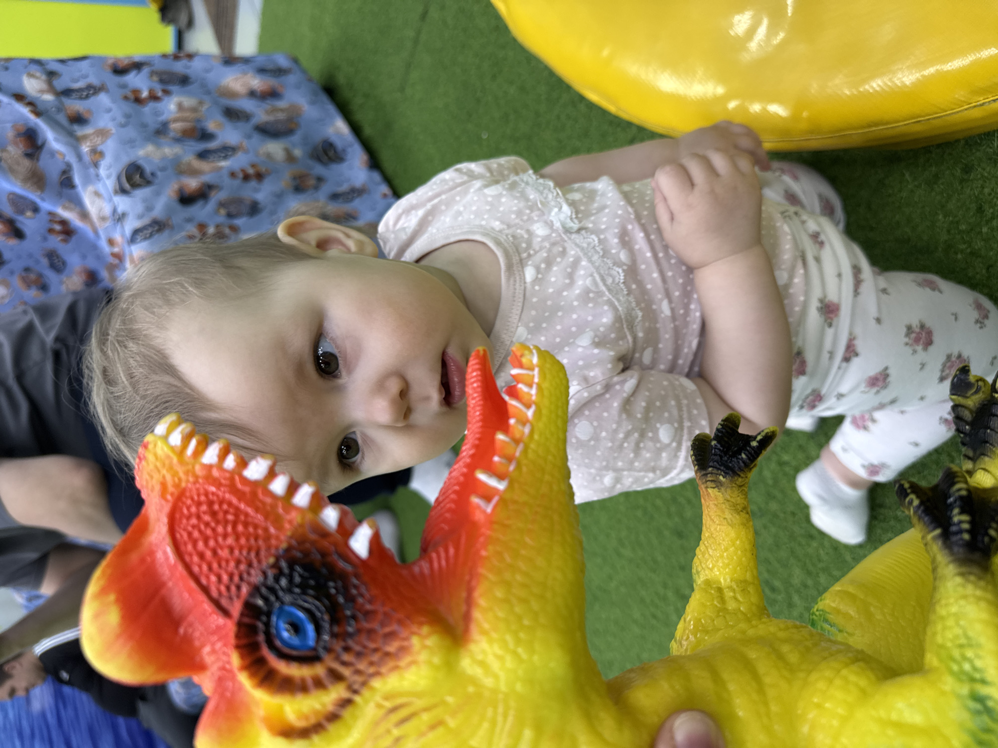 A high-angle, slightly Dutch-tilted photograph captures a playful interaction between a baby and a toy dinosaur in an indoor setting in Izhevsk, Russia. The central subject is a baby, likely an infant or toddler, with light hair and dark eyes, looking directly at the camera with a curious or slightly surprised expression. The baby is lying on its back, dressed in a light pink polka-dotted top with lace trim and white pants adorned with a floral pattern. Its small hands are visible near its chest.
In the immediate foreground, a vibrant yellow and orange toy dinosaur dominates the lower part of the frame. Its mouth is wide open, revealing white teeth and a striking blue eye. This toy appears to be either a hand puppet or a large plastic figure, held by an unseen individual whose arm is partially visible. The dinosaur seems to be presented to the baby, creating a moment of engagement.
The setting consists of a bright green artificial grass or soft play mat, suggesting a dedicated children's play area. To the baby's left, a blue blanket or mat with a pattern of cartoon fish or marine life is visible. In the upper right background, a large, yellow, possibly inflatable or soft play structure adds to the child-friendly environment. Part of an adult wearing a dark shirt is also visible on the far left. The overall scene conveys a cheerful and engaging playtime moment. No visible text is present in the image.