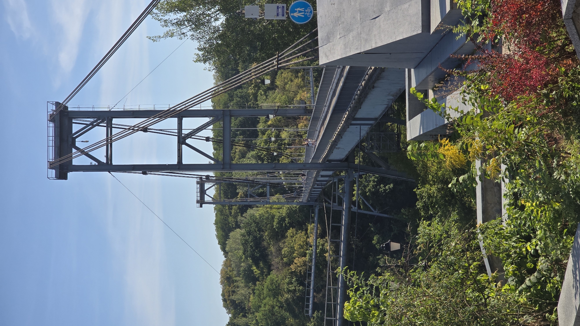 The image depicts the pedestrian bridge over the Teteriv River in Zhytomyr, Ukraine. The bridge is a suspension bridge with a distinctive metal tower supporting the cables. Several people are visible walking across the bridge. The bridge is surrounded by lush green trees and vegetation. A blue and white circular sign indicating a pedestrian and bicycle path is mounted on a pole to the right of the bridge. The sky is clear and blue.