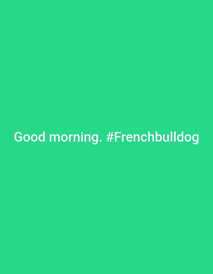 The image is a green background with the text "Good morning. #Frenchbulldog" in pink. There is no indication of Ban Nong Khon, Thailand, or any identifiable objects, people, or activities.