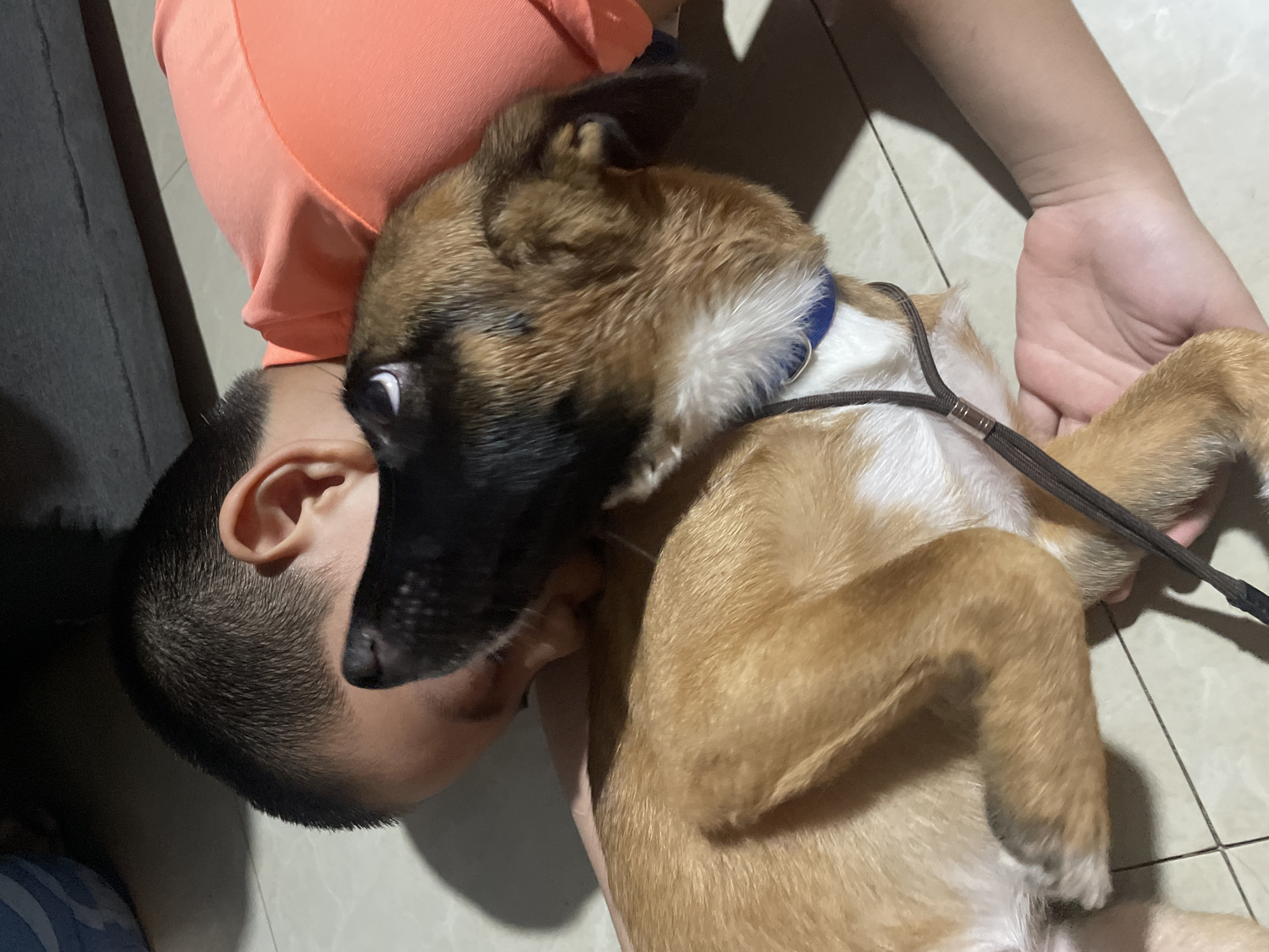 The image shows a child and a dog lying on a tiled floor. The child is wearing an orange t-shirt and is lying on their side, with their head resting on the floor. The dog, a medium-sized breed with tan and black fur, is lying on top of the child. The dog's head is turned upwards, looking towards the left of the frame, with its nose touching the child's face. The dog is wearing a blue collar and a leash is visible. The environment appears to be indoors, possibly a home. The lighting suggests it may be evening or a dimly lit room. The child's hand is visible resting on the dog's back. The scene captures a moment of affection between the child and the dog.