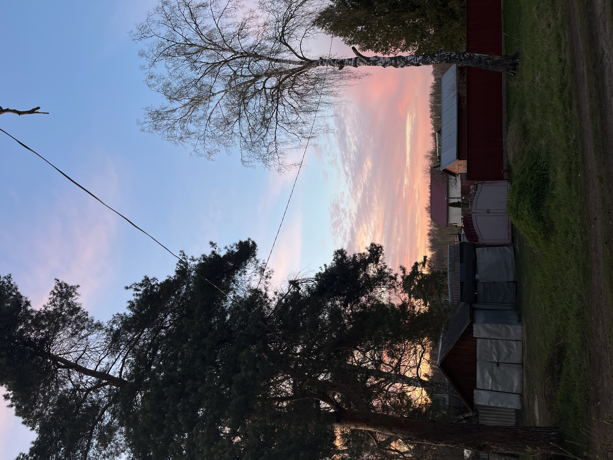 The image, likely taken in Razdol'ye, Russia, captures a rural or semi-rural scene at dusk or dawn. The sky displays a gradient of colors, from pale blue to vibrant pink and orange, indicating either sunrise or sunset.
The foreground features a mix of vegetation, including two prominent trees: a birch with bare branches and a pine tree with dark green foliage. An overhead cable stretches diagonally across the sky.
In the midground, a row of buildings of varying sizes and materials is visible. Some appear to be sheds or outbuildings constructed with metal sheets, while others are larger structures, possibly houses, with red or gray roofs.
The ground is covered in grass, and a dirt road runs along the right side of the frame.