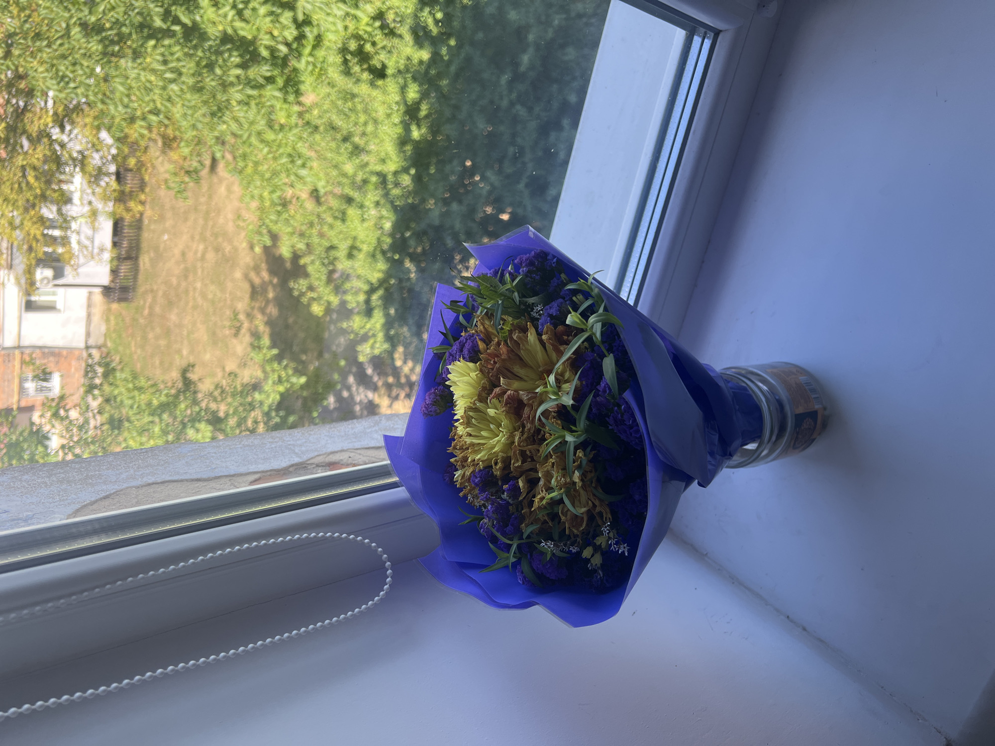 A bouquet of dried flowers, predominantly yellow and purple, is displayed in a glass jar on a windowsill. The windowsill appears to be made of white plastic. Outside the window, a view of greenery and a building is visible. The overall scene is illuminated by natural light. The image was taken in the city of Sheptytskyi, Ukraine.
