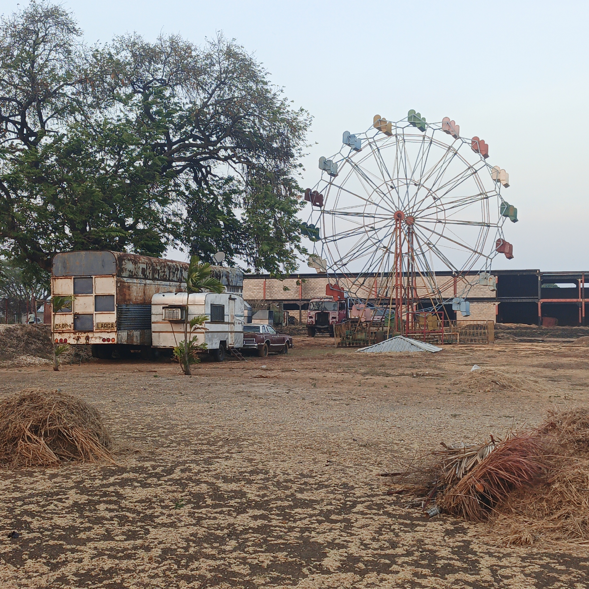 The image displays an outdoor, undeveloped lot within Tinaquillo, Venezuela. The ground consists of light brown, dry earth with widespread coverage of pale, granular organic material. In the background, a large, stationary Ferris wheel is visible, featuring a metal framework with visible rust and cabins painted in faded reds, greens, blues, and yellows. To the left of the Ferris wheel, a line of disused vehicles and structures is present. This includes, from left to right: a large, heavily rusted truck trailer with paneled sides, bearing the stenciled words "CARGA LARGA" on its rear lower section and a small satellite dish on its roof; an older, white travel trailer with multiple barred windows; a maroon-colored sedan or coupe parked behind the travel trailer; and a red truck cab, further in the background. Behind these vehicles and extending towards the right, multiple partially constructed or dilapidated brick and concrete block structures are discernible, some with dark, open frames. Large trees with both dense green and sparse brown foliage border the left and upper sections of the scene. Several scattered piles of dried straw or brush are present in the foreground and midground. The sky above is pale and overcast. No individuals are depicted in the scene.