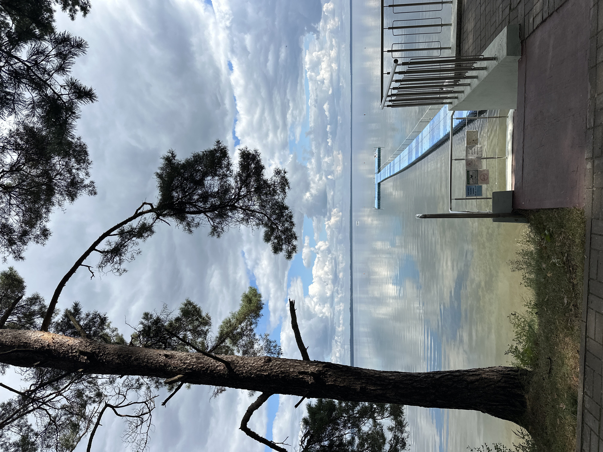 This is a full-frame, eye-level, portrait-oriented photograph taken on a cloudy day at Naroch Lake in Narach rural council, Belarus. A tall, mature pine tree dominates the left side of the frame, its branches extending over the scene. In the middle ground, a long, blue floating pontoon walkway extends into the calm, reflective water of the lake. The water mirrors the overcast sky and scattered clouds. On the right, a paved area with a metal railing leads down towards the water. The scene is tranquil, with no people visible. The environment suggests a public access point to the lake, likely for swimming or recreation.