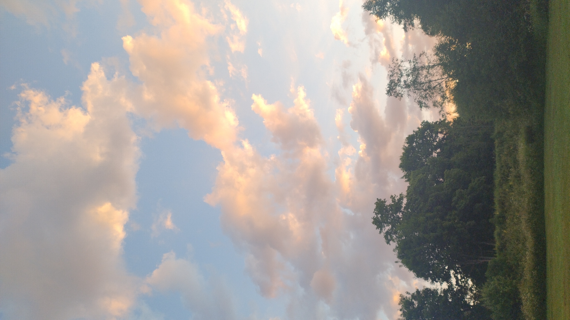 The image depicts a pastoral landscape at dusk, likely in the vicinity of Mailes, Latvia, characterized by a treeline in the midground and a grassy field in the foreground. The sky is a prominent feature, displaying a soft blue hue with scattered clouds illuminated by the setting sun, casting warm, peachy tones across their surfaces. The trees form a dense, dark silhouette against the sky, with varying heights and densities suggesting a mix of deciduous and possibly some coniferous species. A band of overgrown vegetation, likely meadows or fields with wildflowers and grasses, separates the treeline from the foreground. The foreground itself is a neatly mown green lawn, indicative of a park, garden, or open recreational space. There are no people or animals visible in the scene. The overall atmosphere is tranquil and natural, capturing a serene moment of twilight in a rural or semi-rural setting.