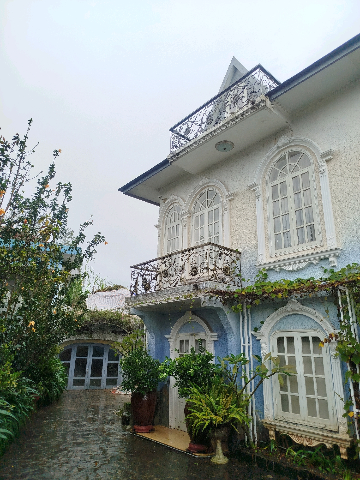 This image depicts a building with a light blue and white facade, featuring ornate white trim around arched windows and balconies. A cobblestone pathway, appearing wet, leads towards a curved entrance with a pale blue double door. Lush green foliage and potted plants surround the pathway and the building. The sky is overcast and pale. The architectural style suggests a European influence, possibly a villa or guesthouse, consistent with the colonial-era architecture found in Da Lat, Vietnam, known for its French colonial legacy and picturesque landscapes. There are no people or animals visible in the frame. The scene is still and appears to have been captured during or after rain due to the wet ground.