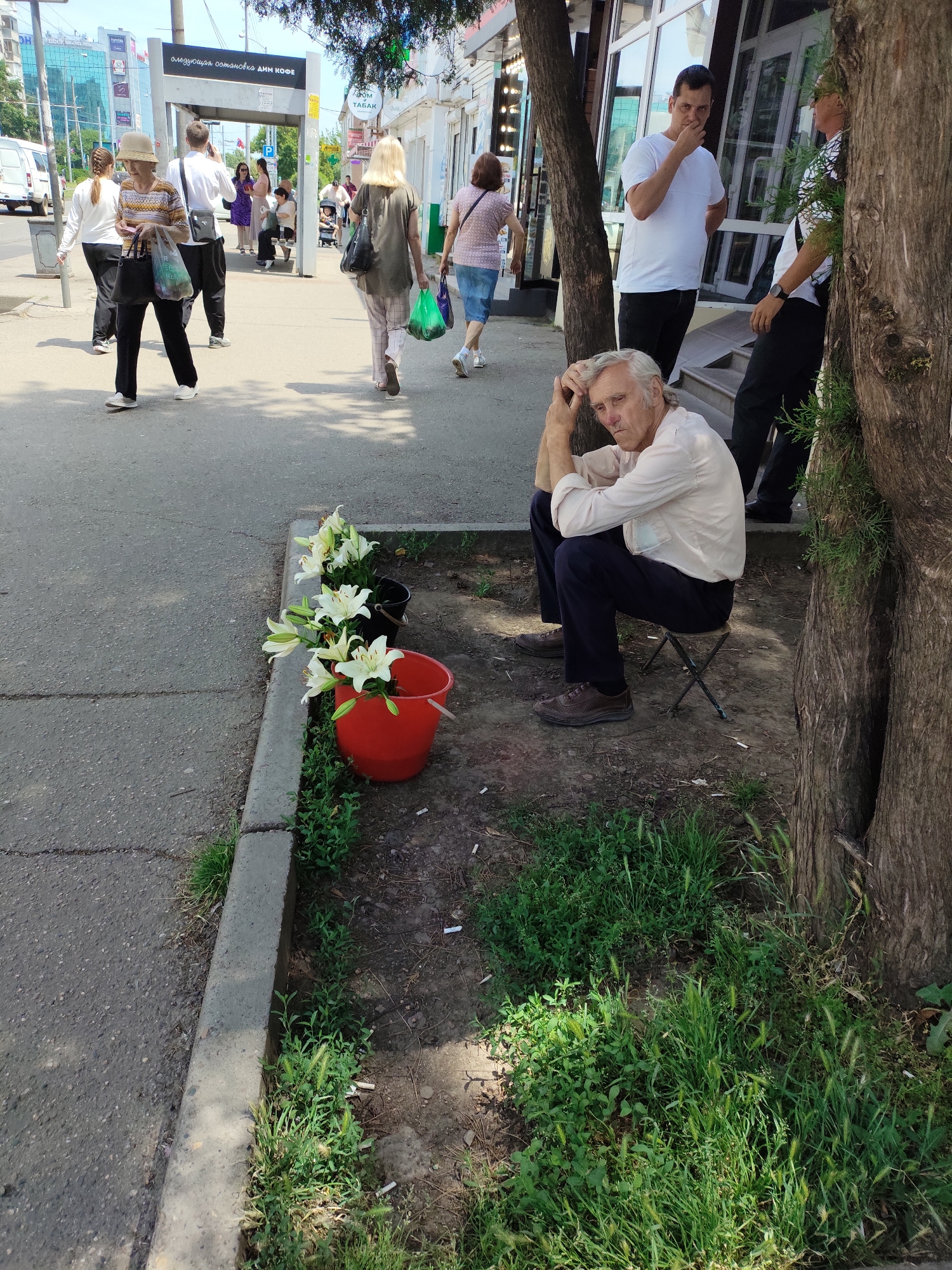The image depicts an outdoor scene on a sunny day, likely on a city sidewalk in Krasnodar, Russia, given the Cyrillic signage visible on a bus stop shelter. In the foreground, an elderly man with grey hair is seated on a small, dark folding stool. He is wearing a light-colored long-sleeved shirt and dark trousers, with his right hand resting on his head. He appears contemplative. To his left, two buckets are placed on the ground. A red bucket contains a bouquet of white lilies, and a black bucket, also containing lilies, is beside it. The buckets are positioned near a concrete curb bordering a patch of dirt and grass, where cigarette butts are scattered.
In the background, several people are walking along the sidewalk. A woman wearing a hat and patterned shirt is walking towards the foreground, carrying shopping bags. Behind her, other individuals are visible, including a man in a white shirt and dark pants, and another man in a white t-shirt and dark pants who appears to be talking. A bus stop shelter with a large sign displaying Cyrillic text is also present in the background. The environment suggests a commercial or public street area, with buildings lining the opposite side of the street.